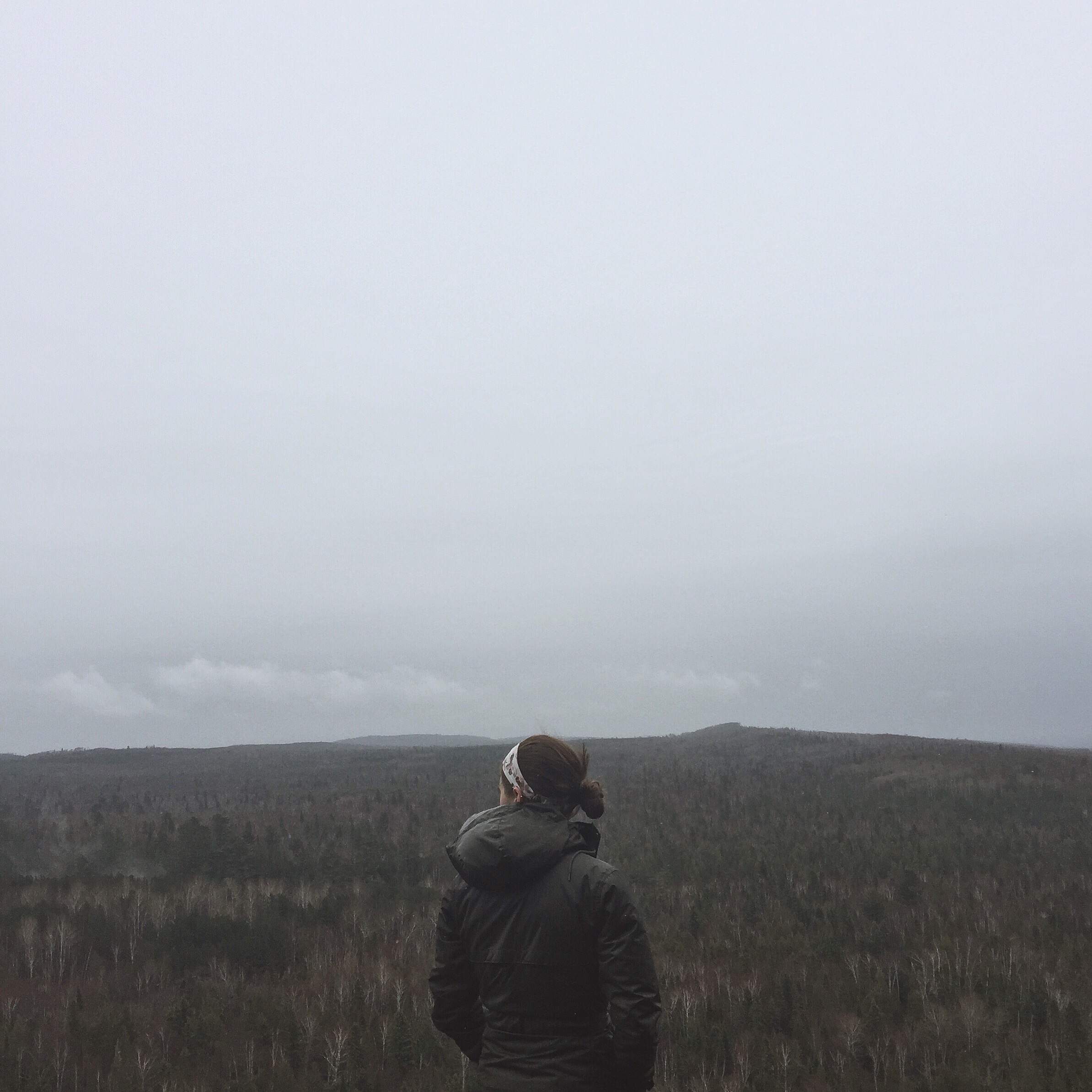 The lookout from, coincidentally, Lookout Mountain at Cascade River State Park.