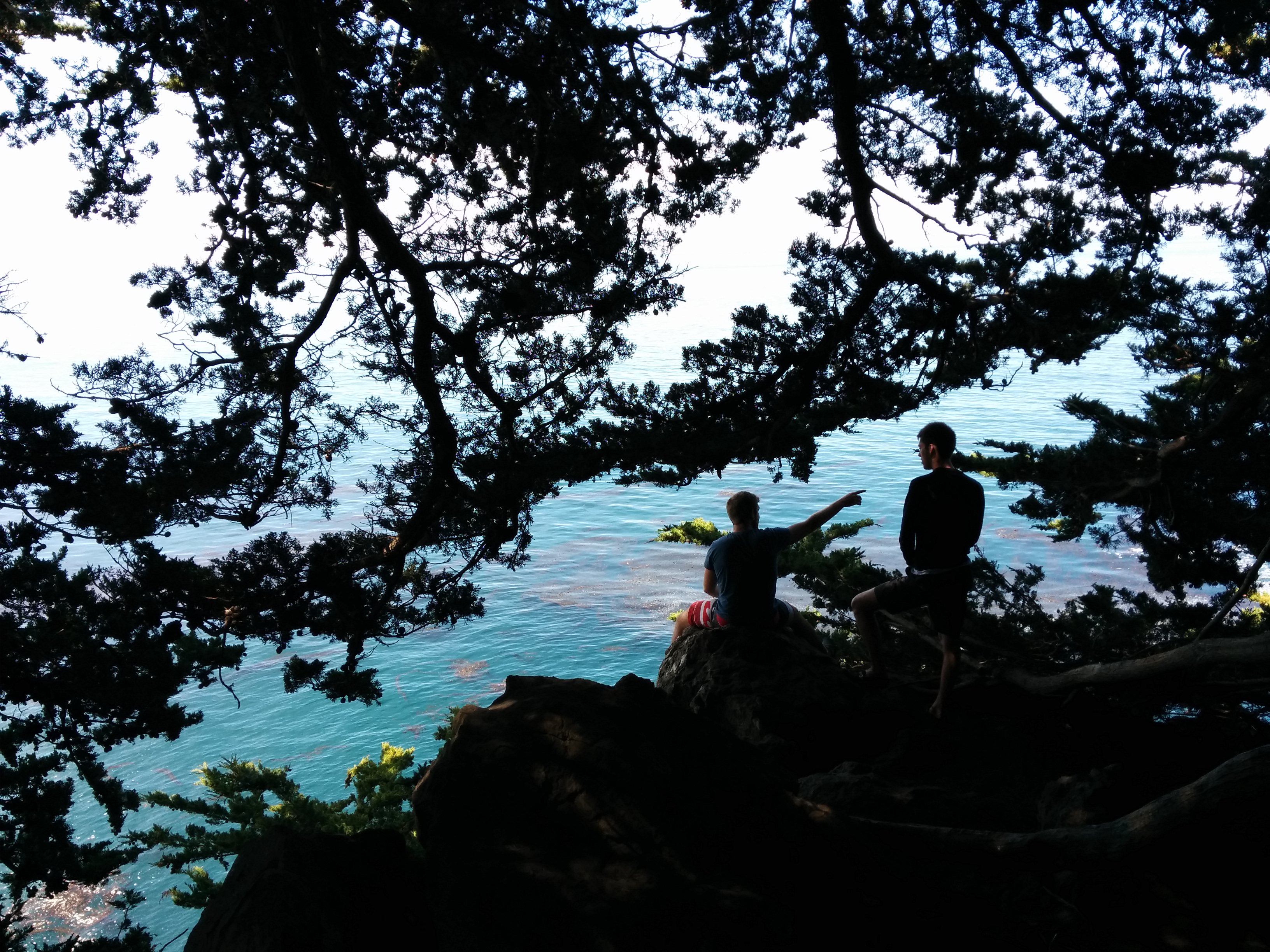 We saw whales and dolphins literally from the campground!