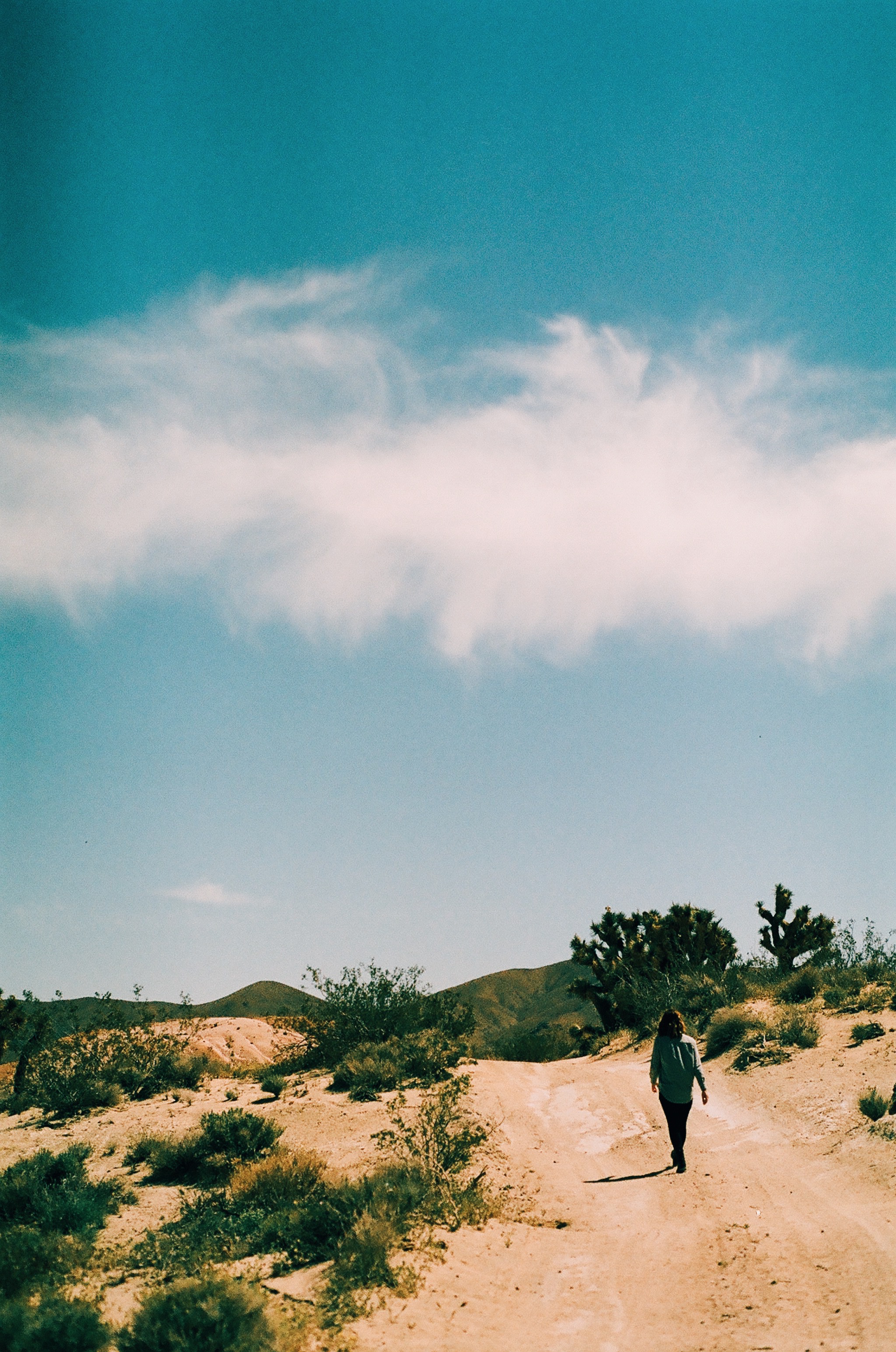The trails of Red Rock Canyon State Park.