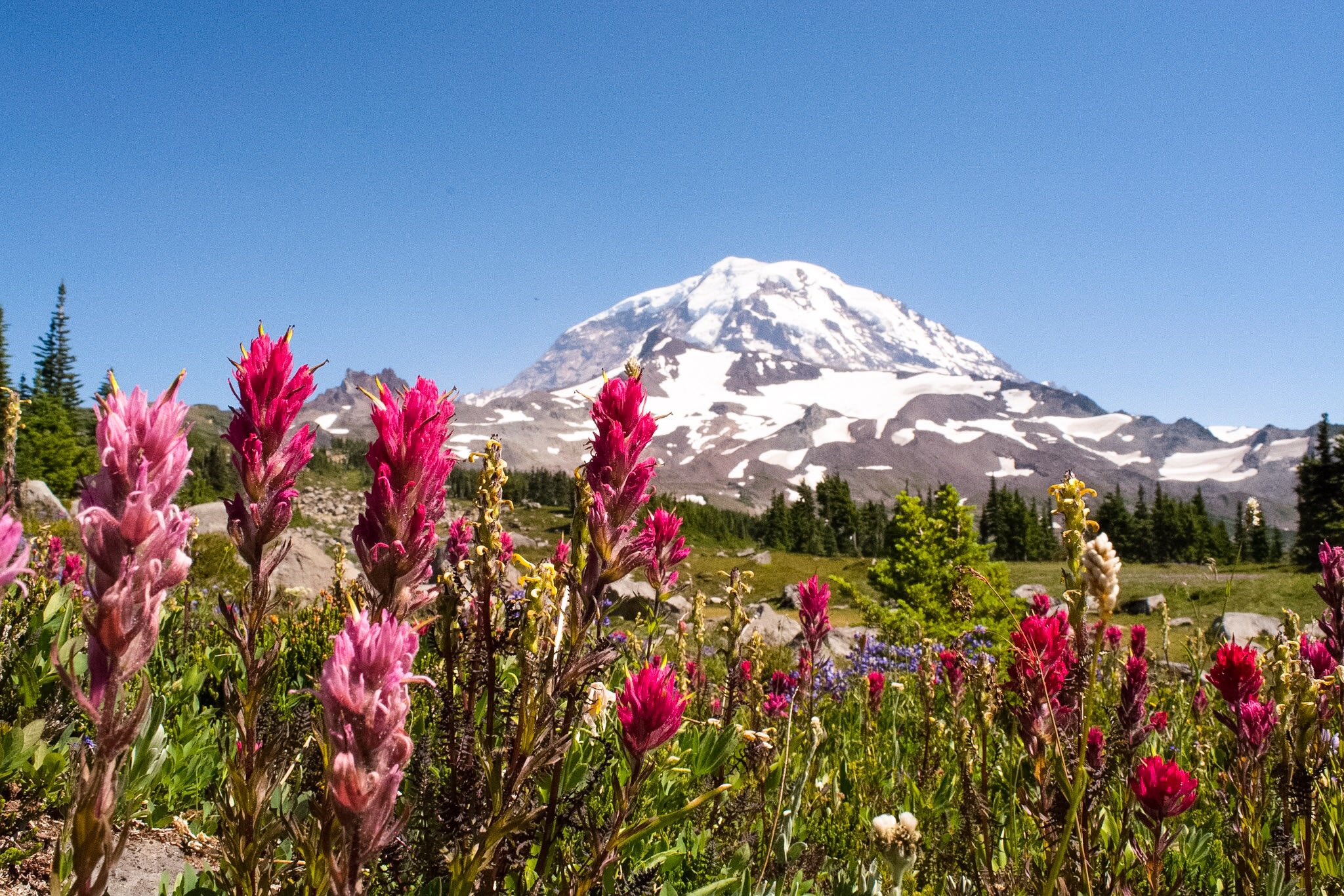 If you're camping at Mowich Lake, take the 6+ mile trail up to Spray Park! Stop ar the waterfall to see the fantastic, multi-tiered falls and then continue on for stunning views of Mount Rainier (and some wildflowers if the season is right)!