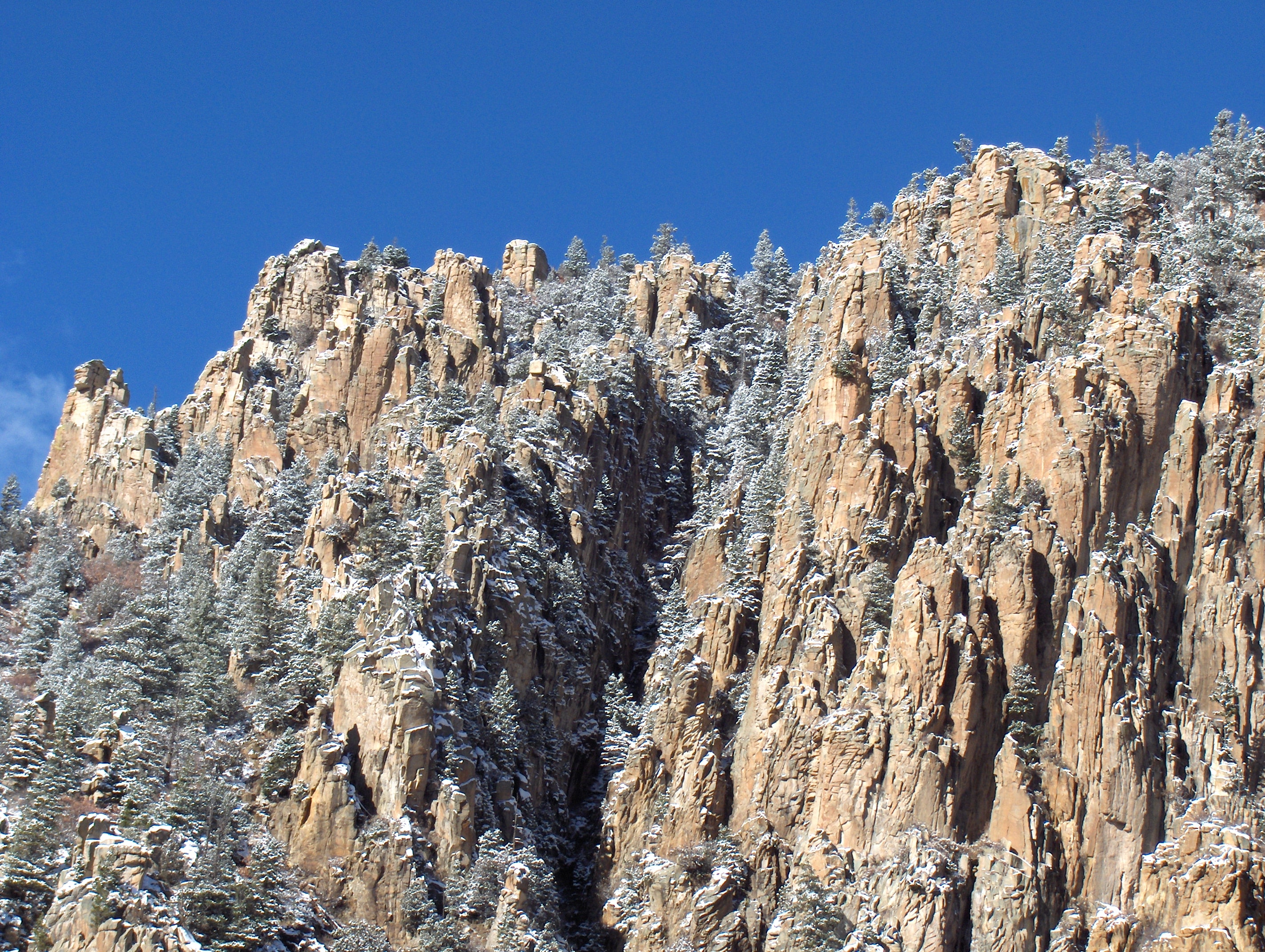 Ponderosa Campground