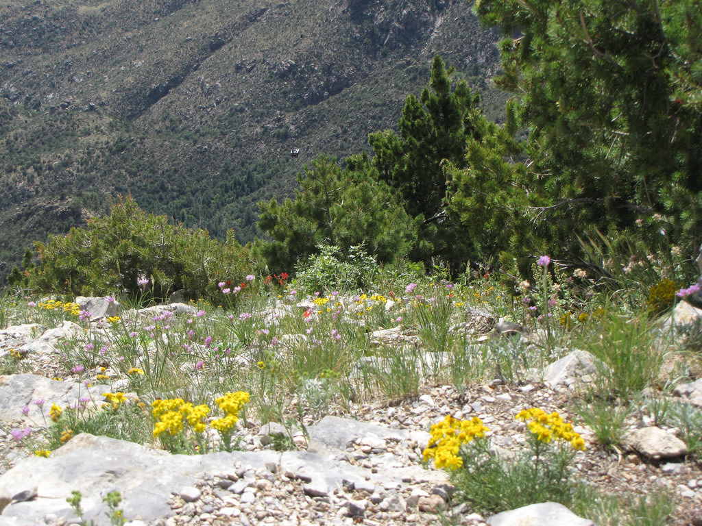 Capilla Peak Campground