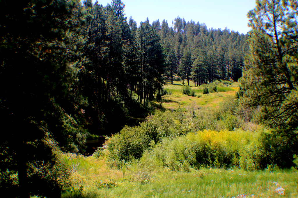 Fenton Lake State Park
