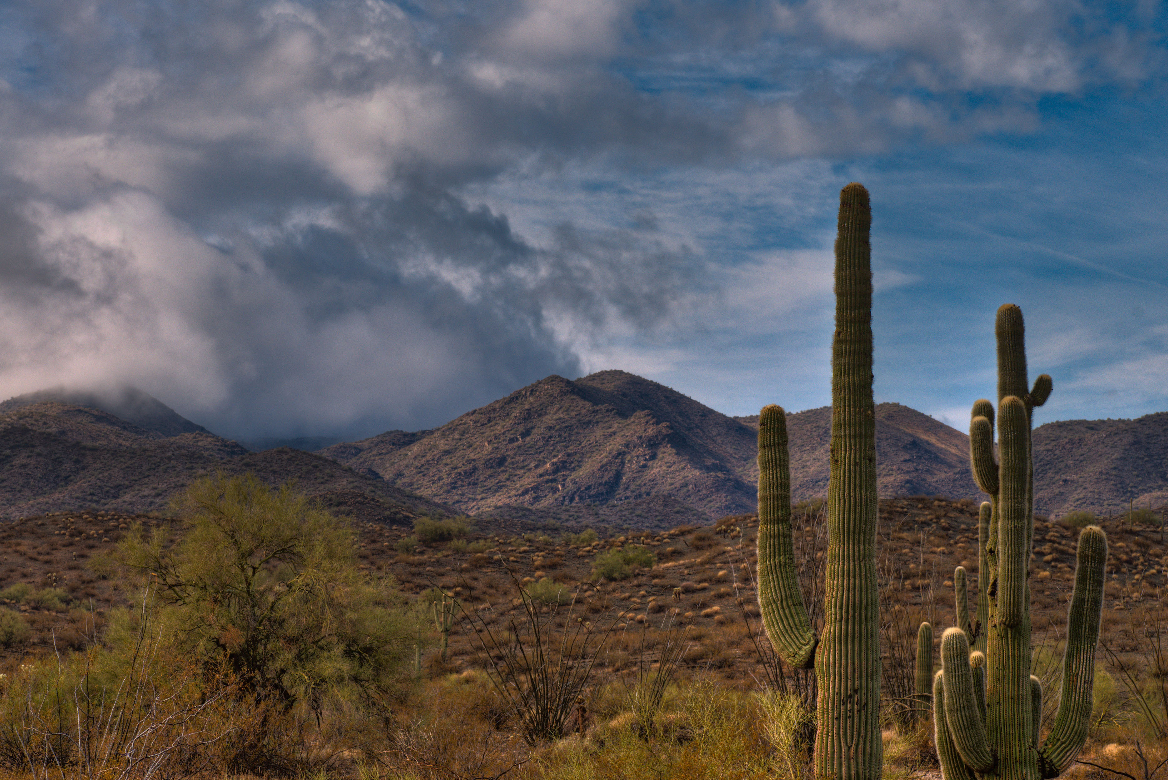 Alamo Lake State Park