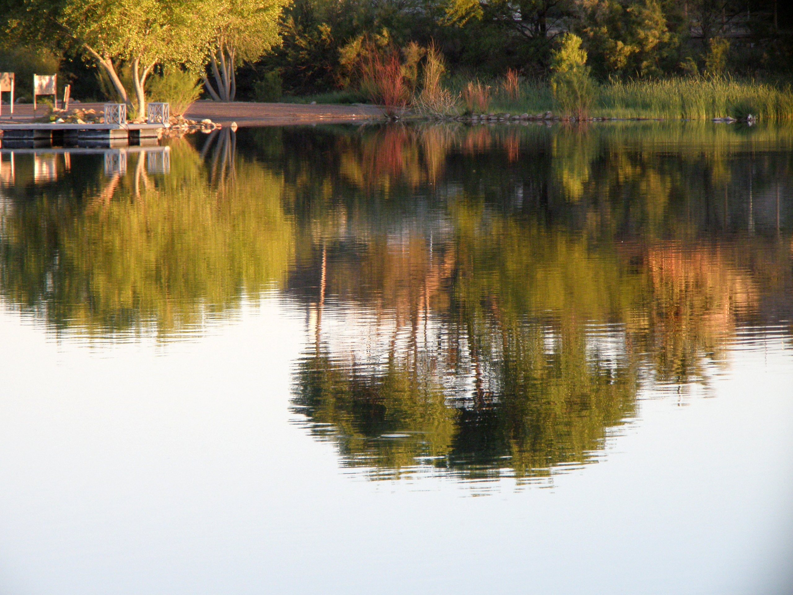 Roper Lake Campground
