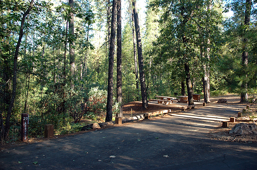 Breathe taking views and such a fun time camping beneath such massive trees!!