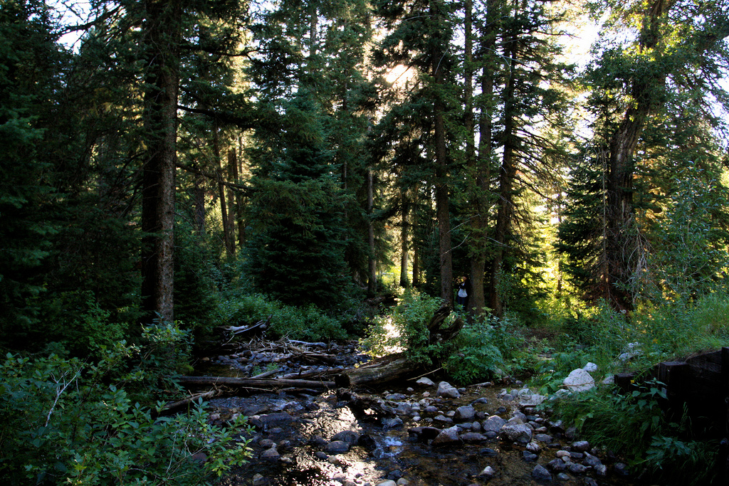 Riverside Park Campground