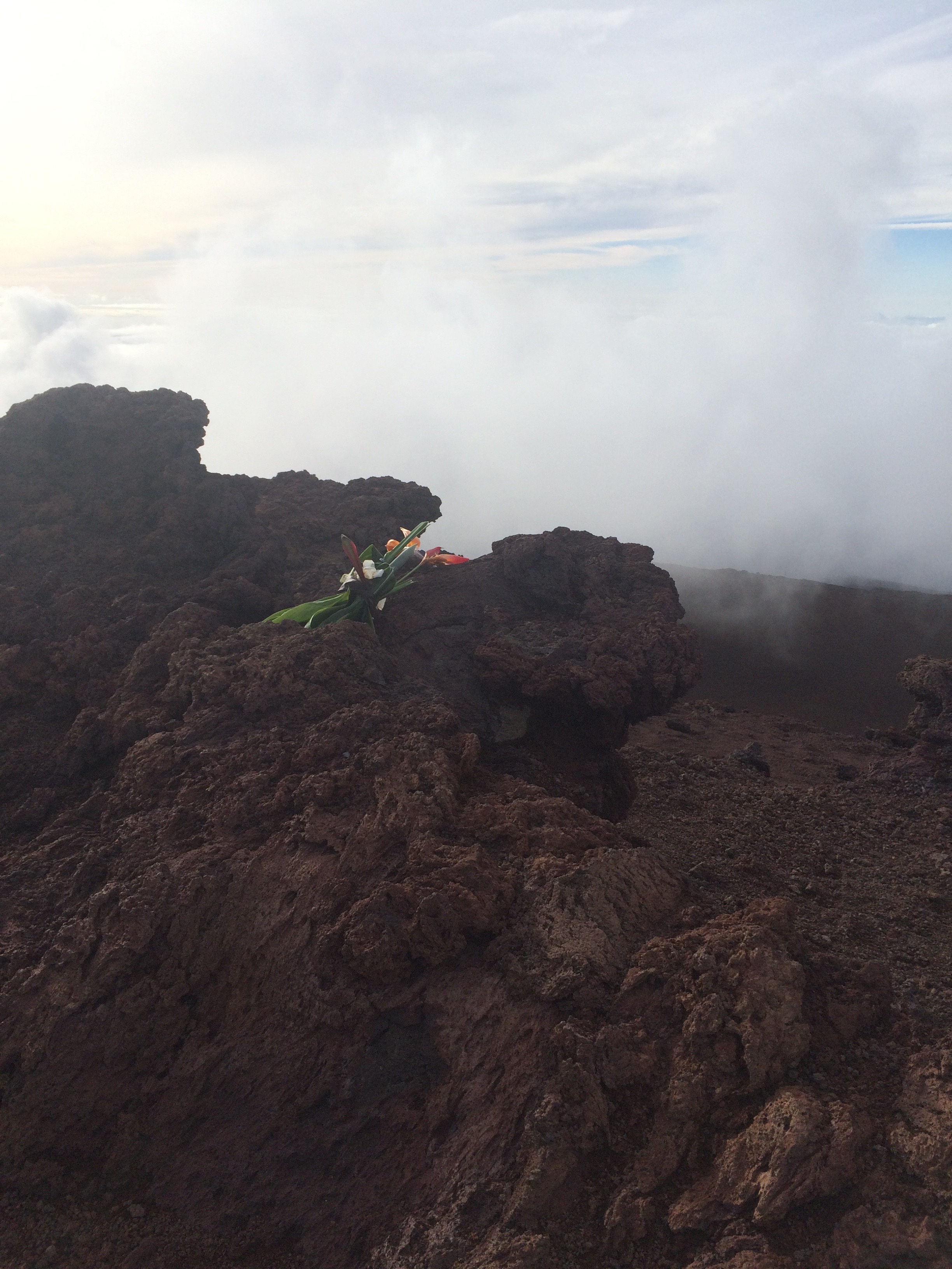 Haleakalā National Park