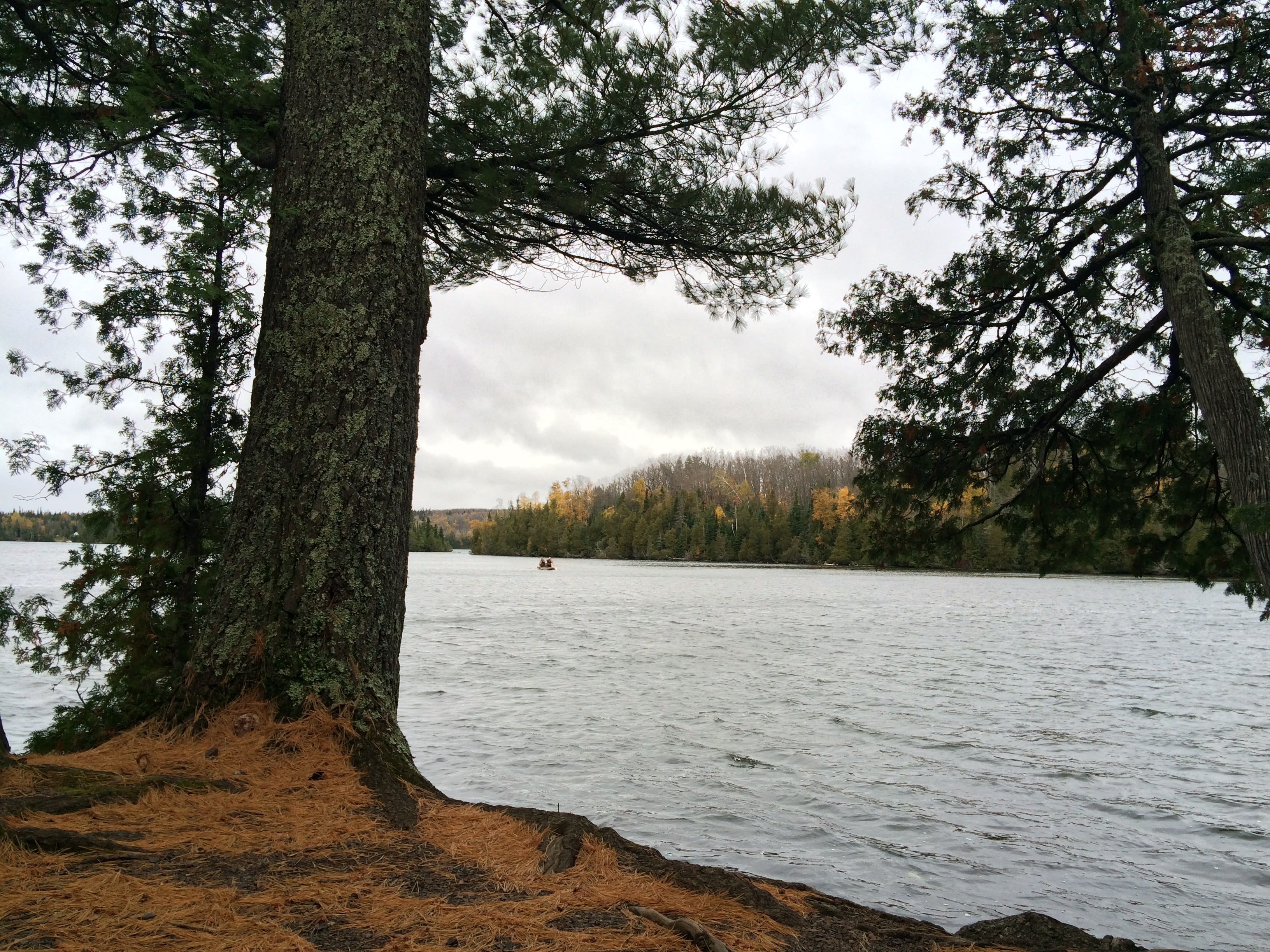Ninemile Lake Campground