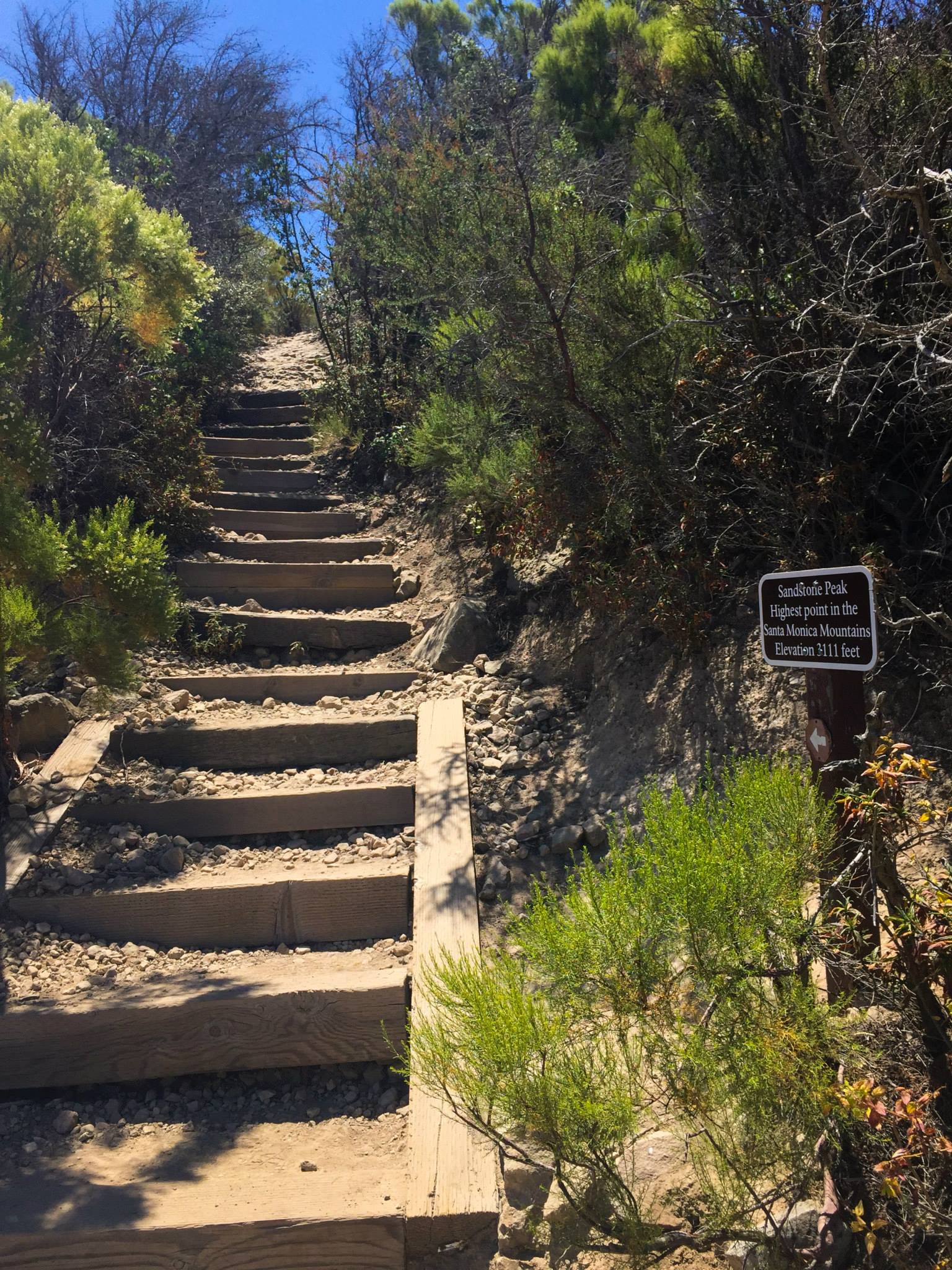 A few stairs to start off the final ascent to the top.