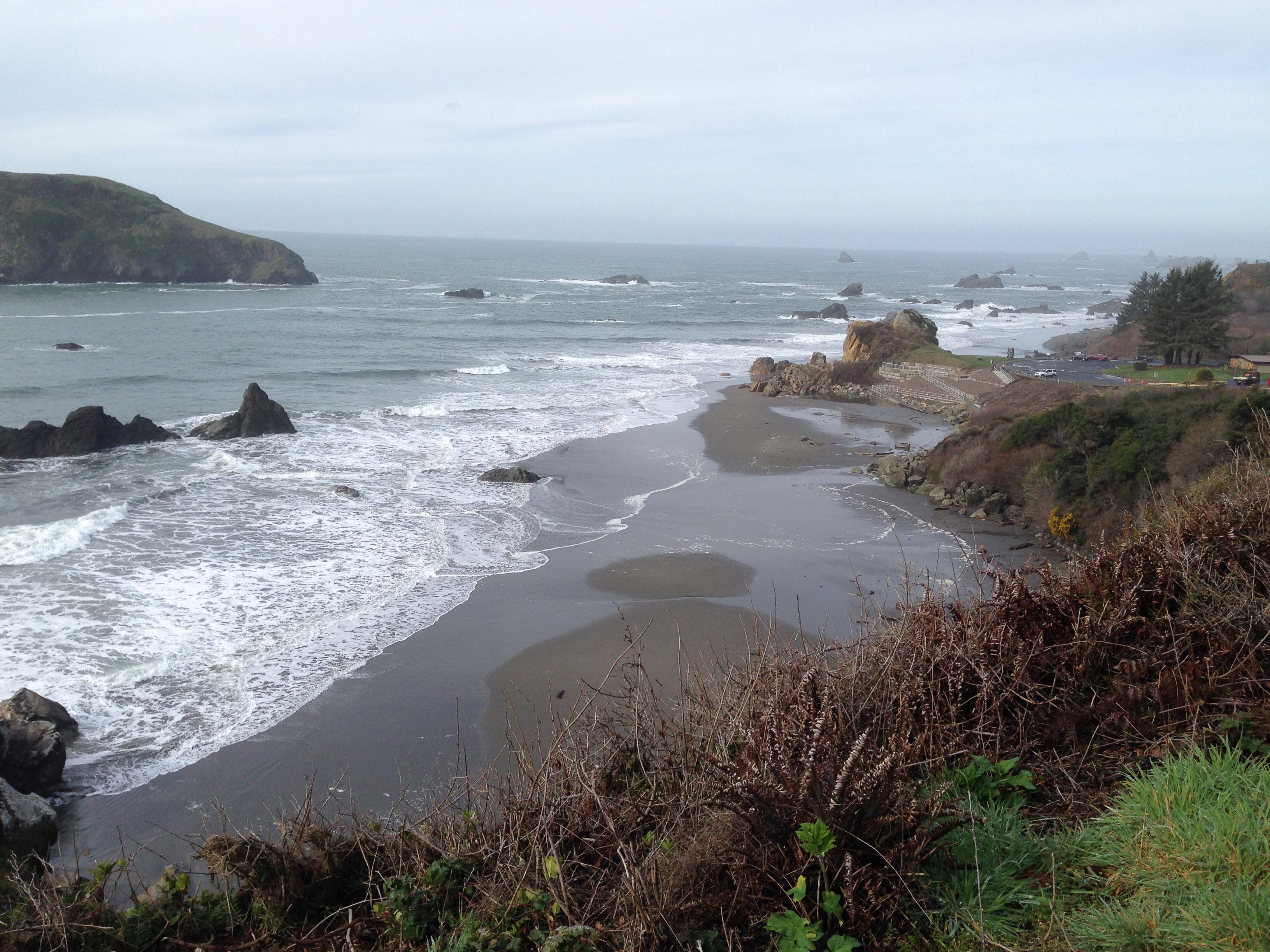 Harris Beach State Park