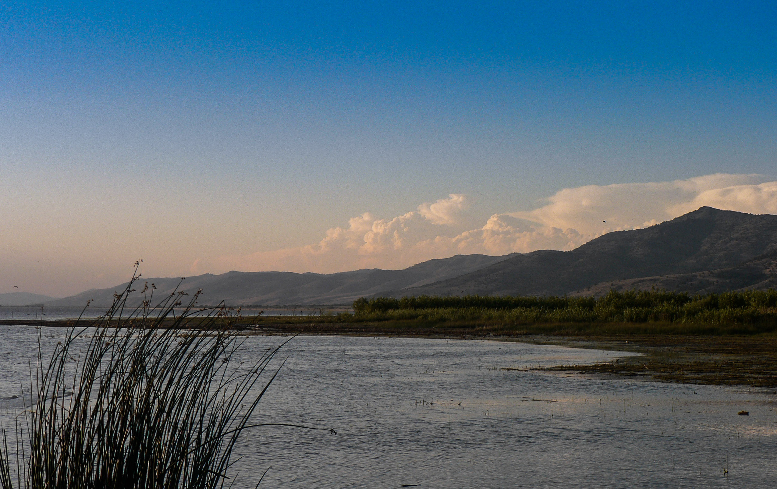 Goose Lake State Recreation Area