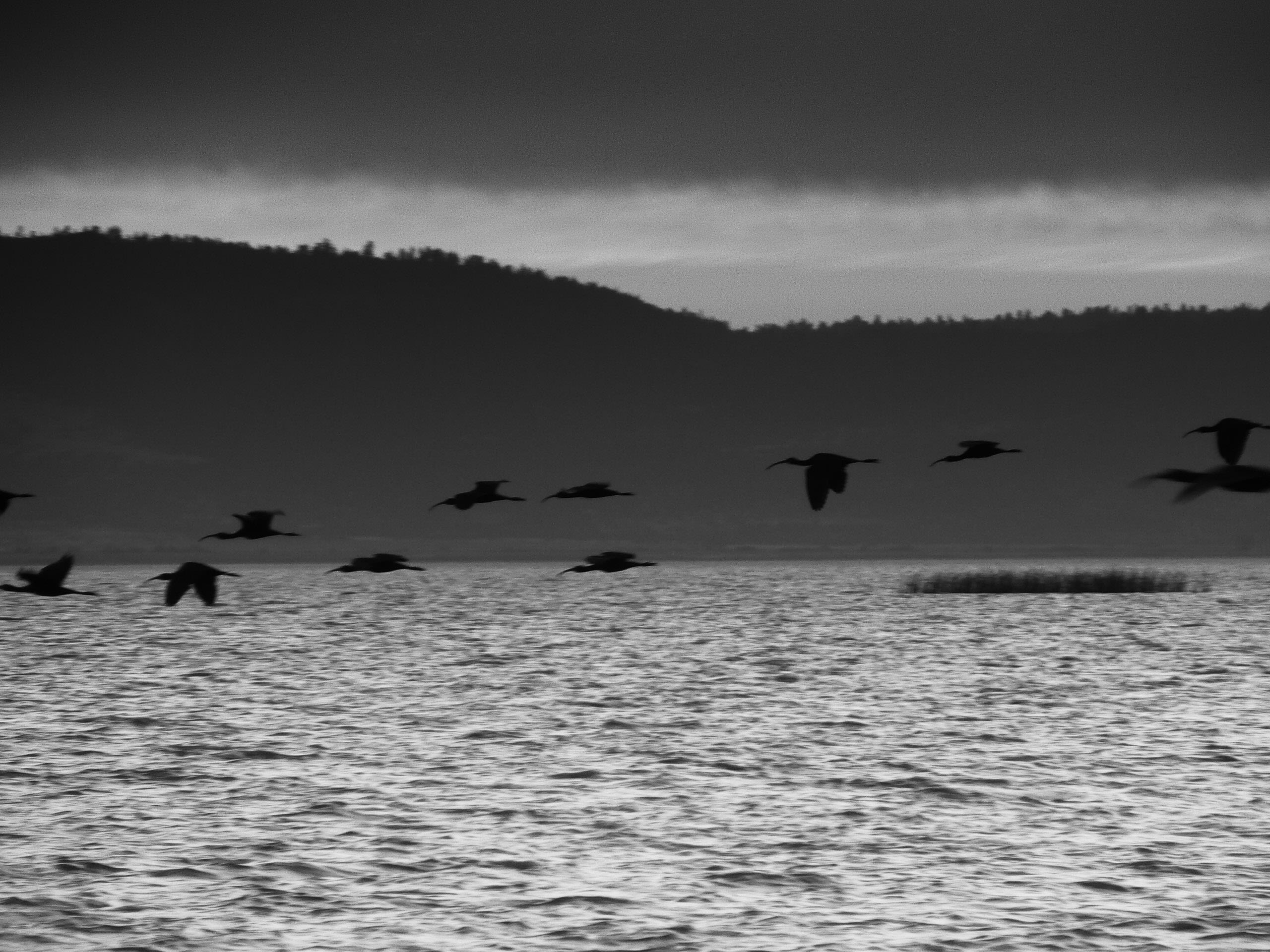 Goose Lake Campground