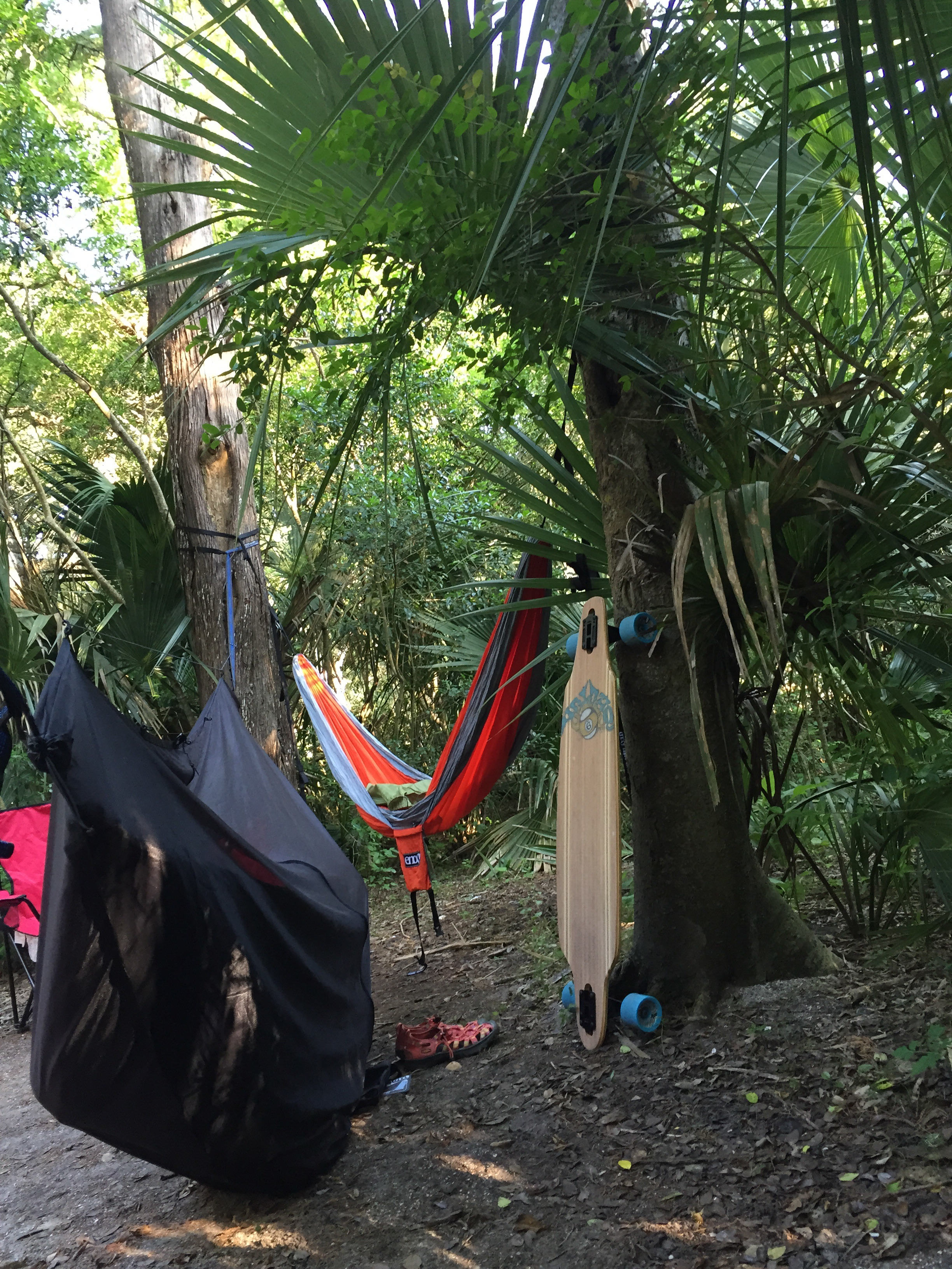 Hammock camping Florida style. 