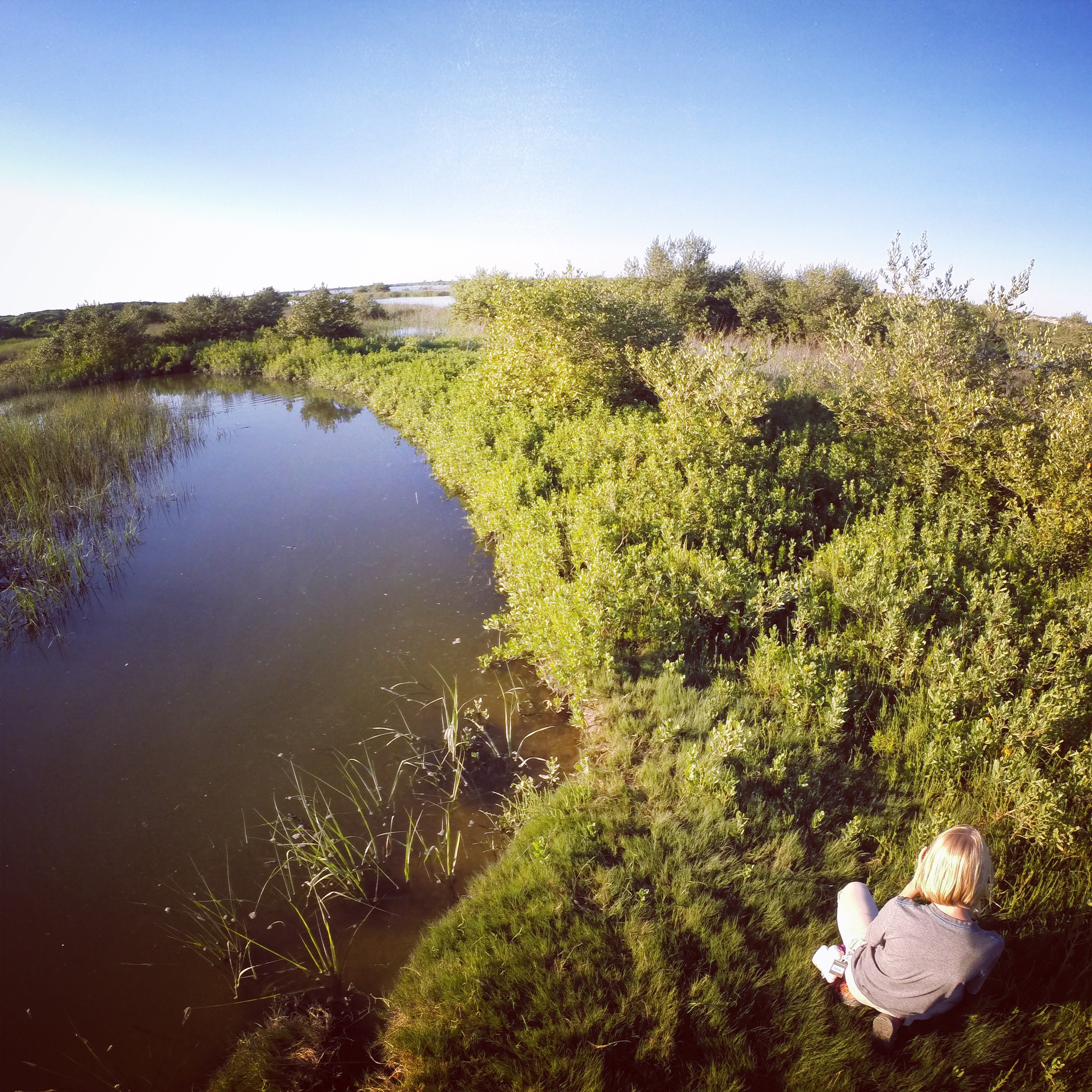 Exploring inland tidal marshes . Nice areas for paddleboarding 