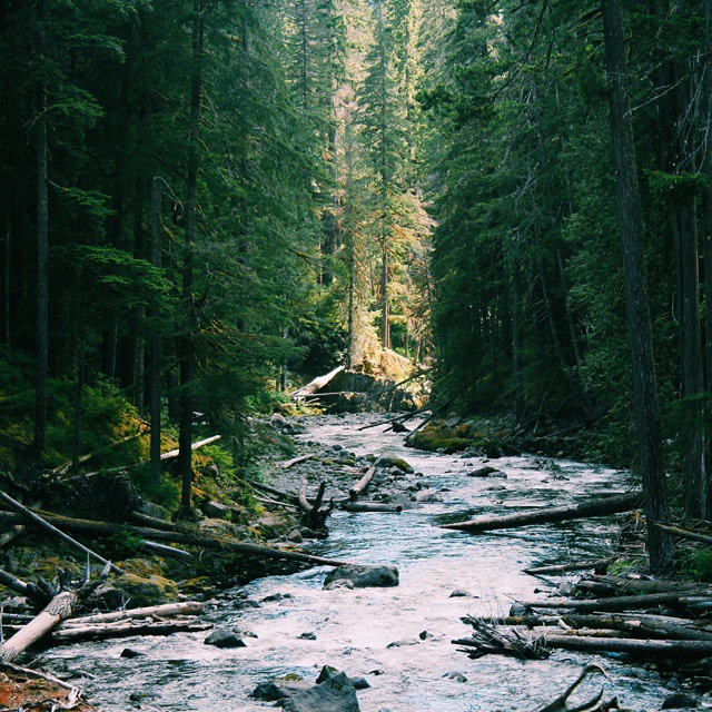 Ohanapecosh Campground