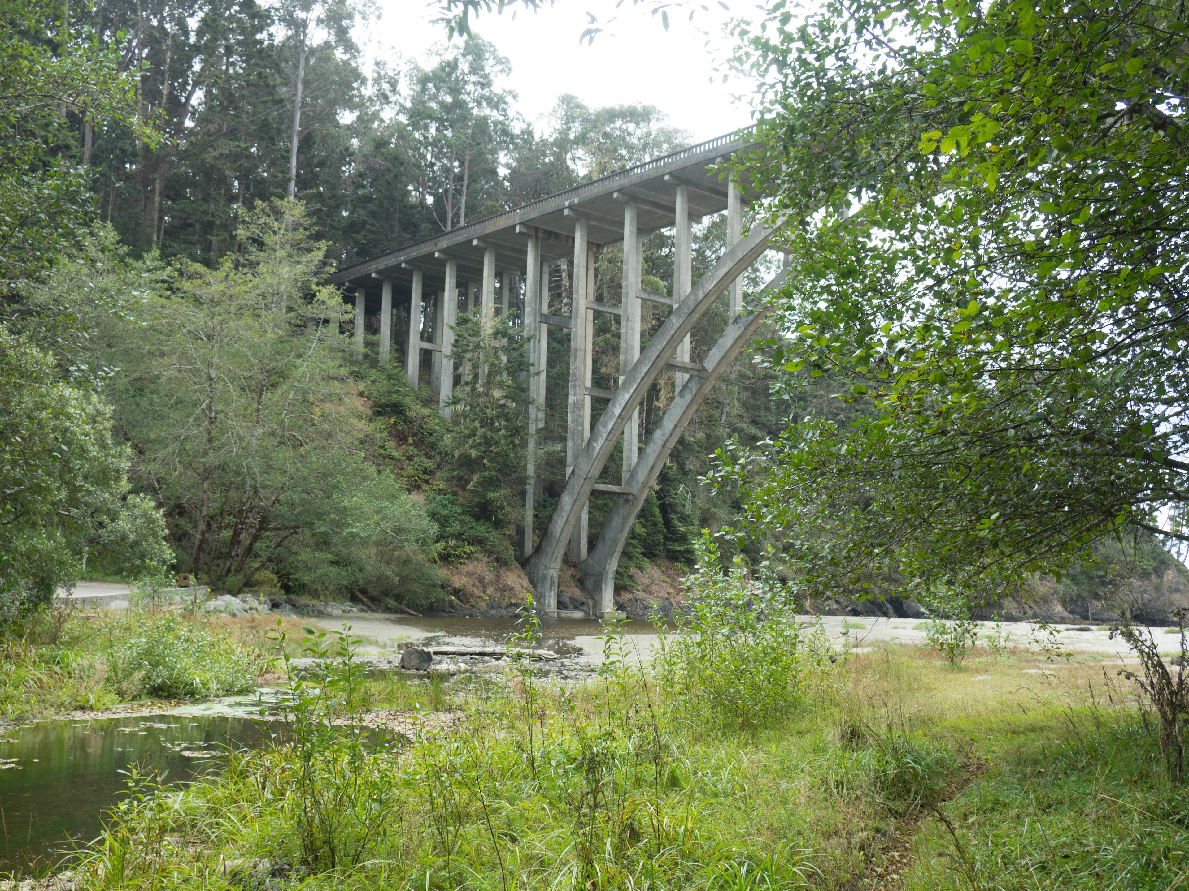 Russian Gulch State Park