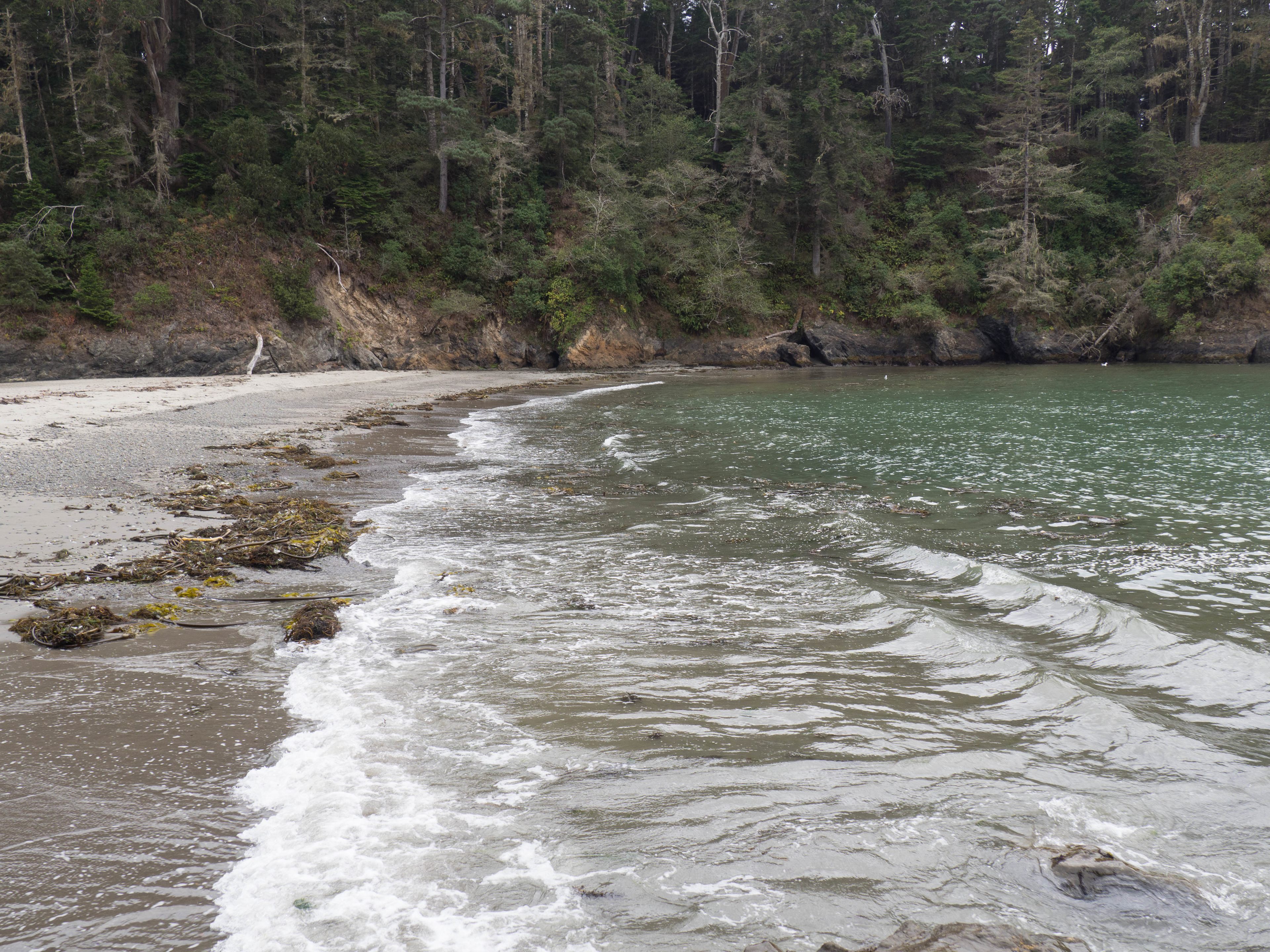 Russian Gulch State Park