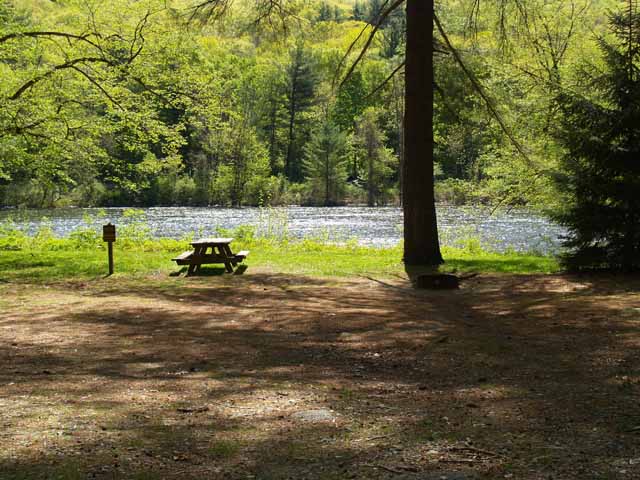 Our campsite was perfect! we got one right on the creek and had a blast. 