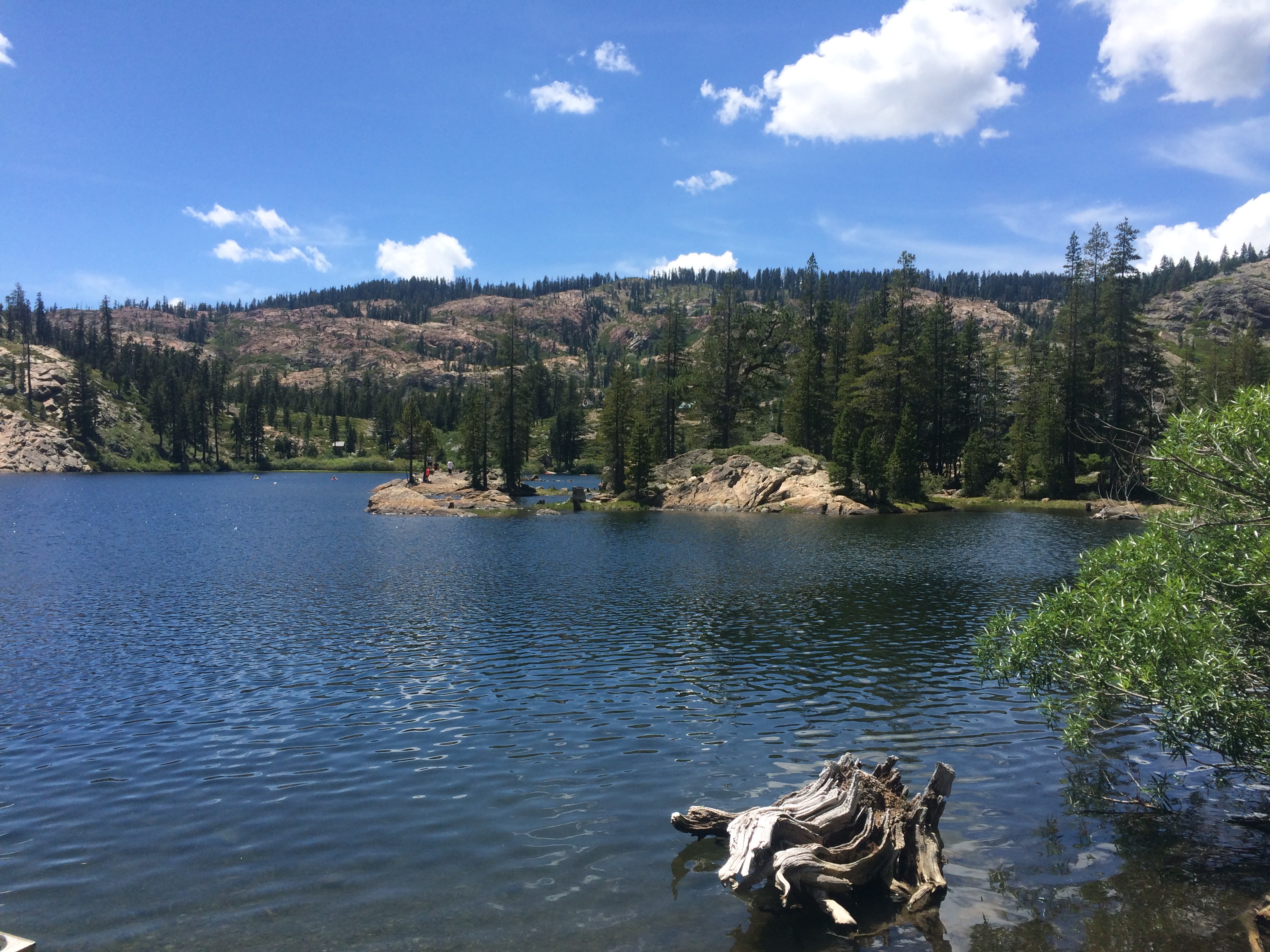 Salmon Lake. You can swim, walk, kayak out to the island and some fun rocks to jump off. 