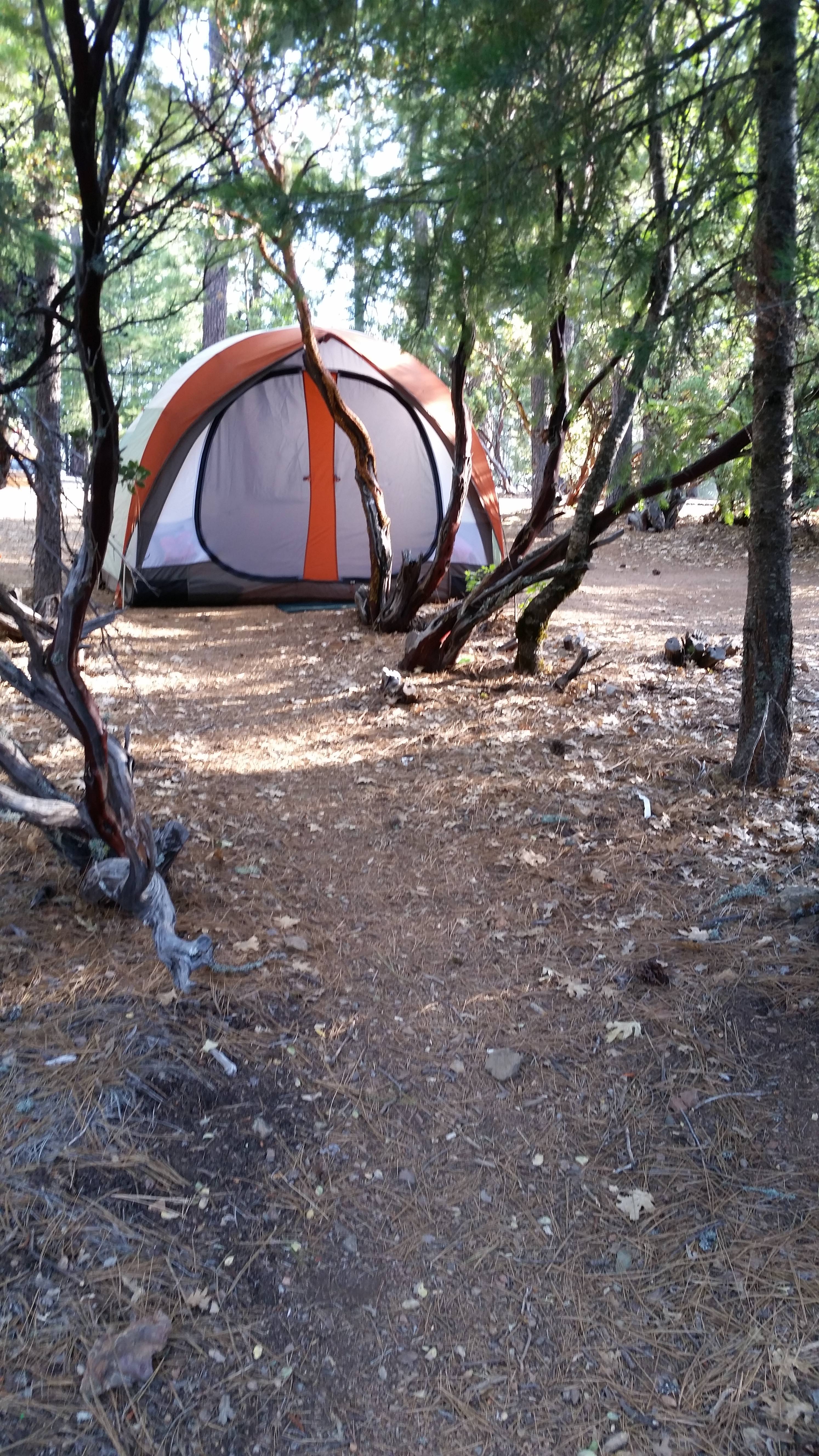 Mendocino National Forest