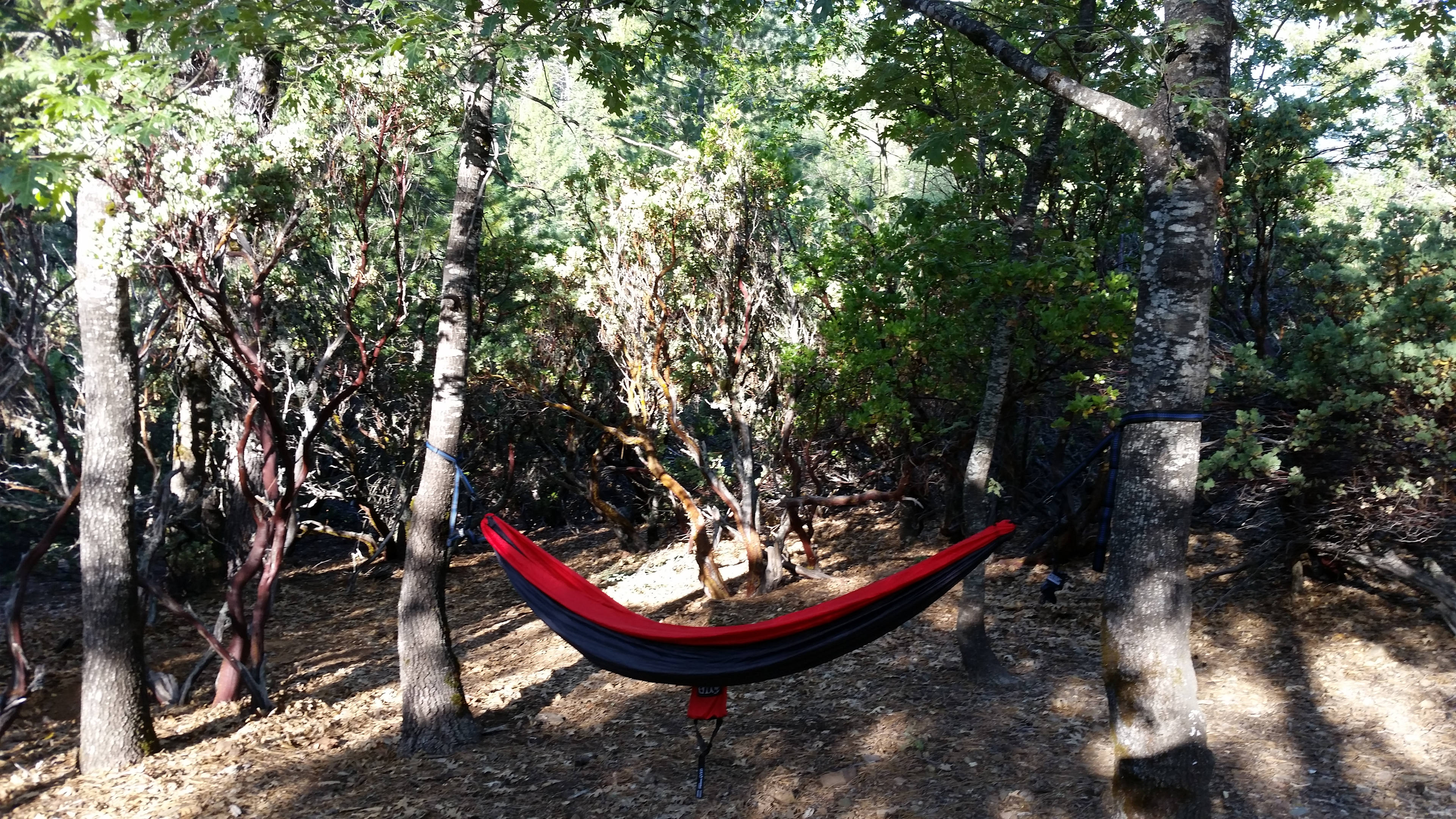 Mendocino National Forest