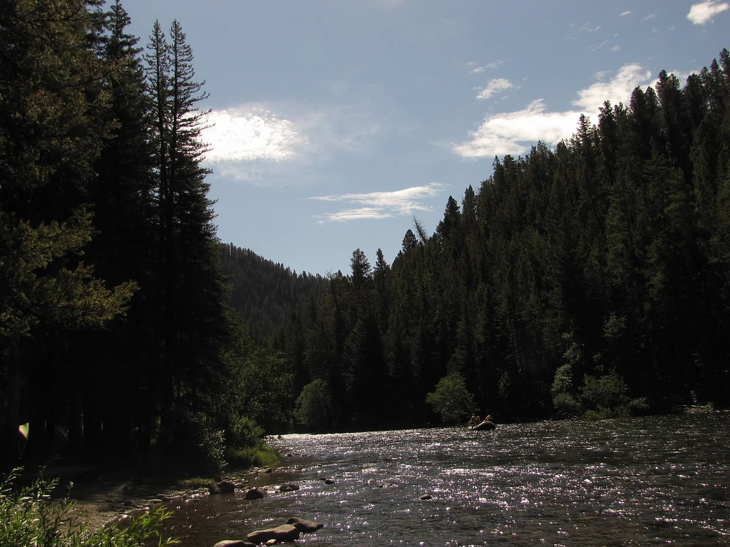 Chippy Park Campground