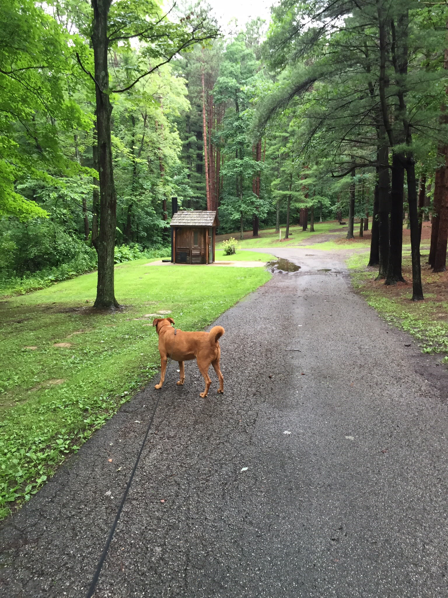 Beaver Creek State Park