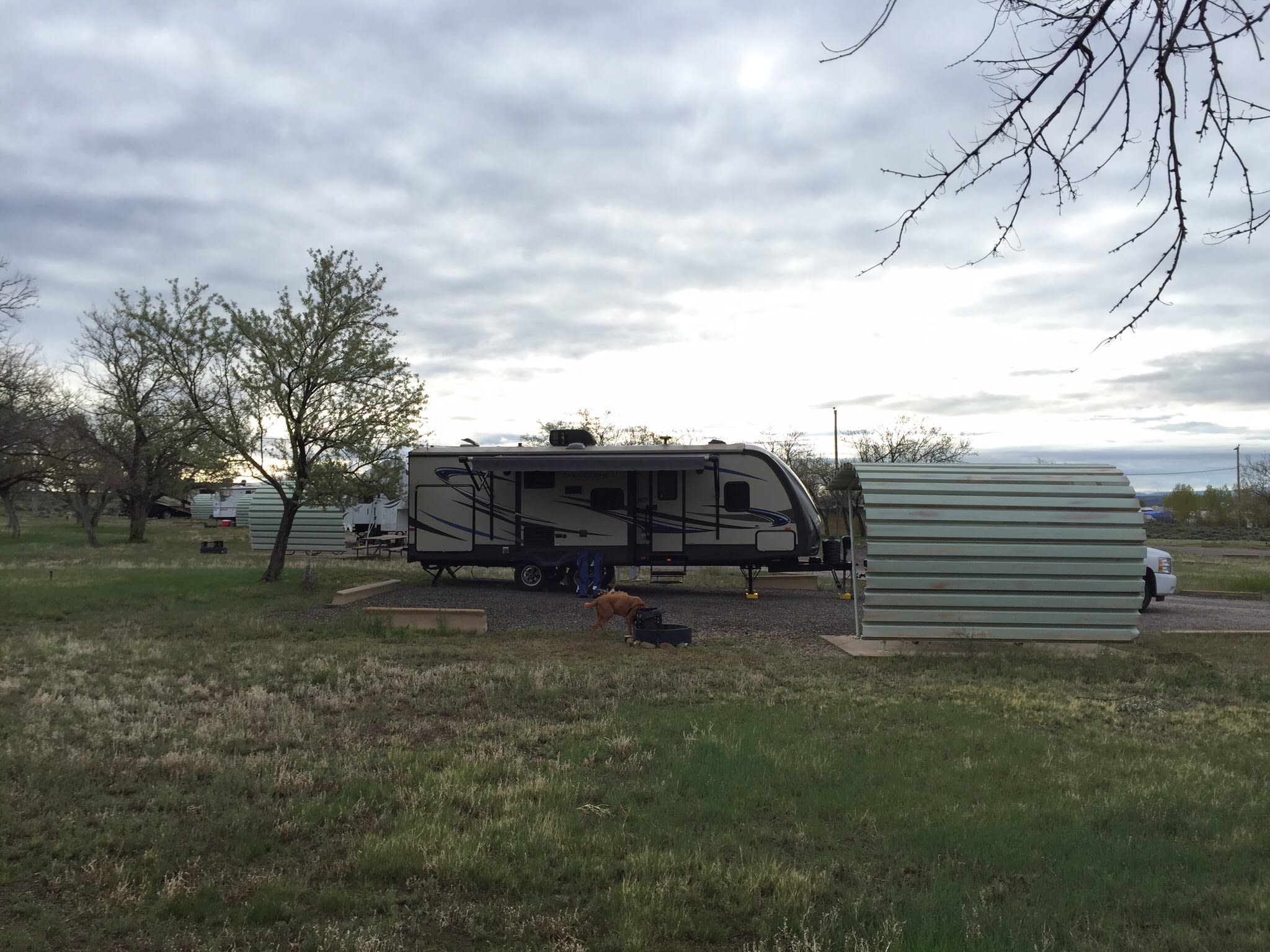 Ashley National Forest