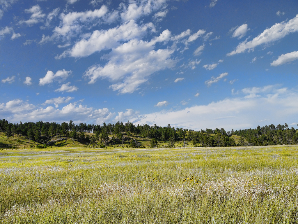 Elk Mountain Campground