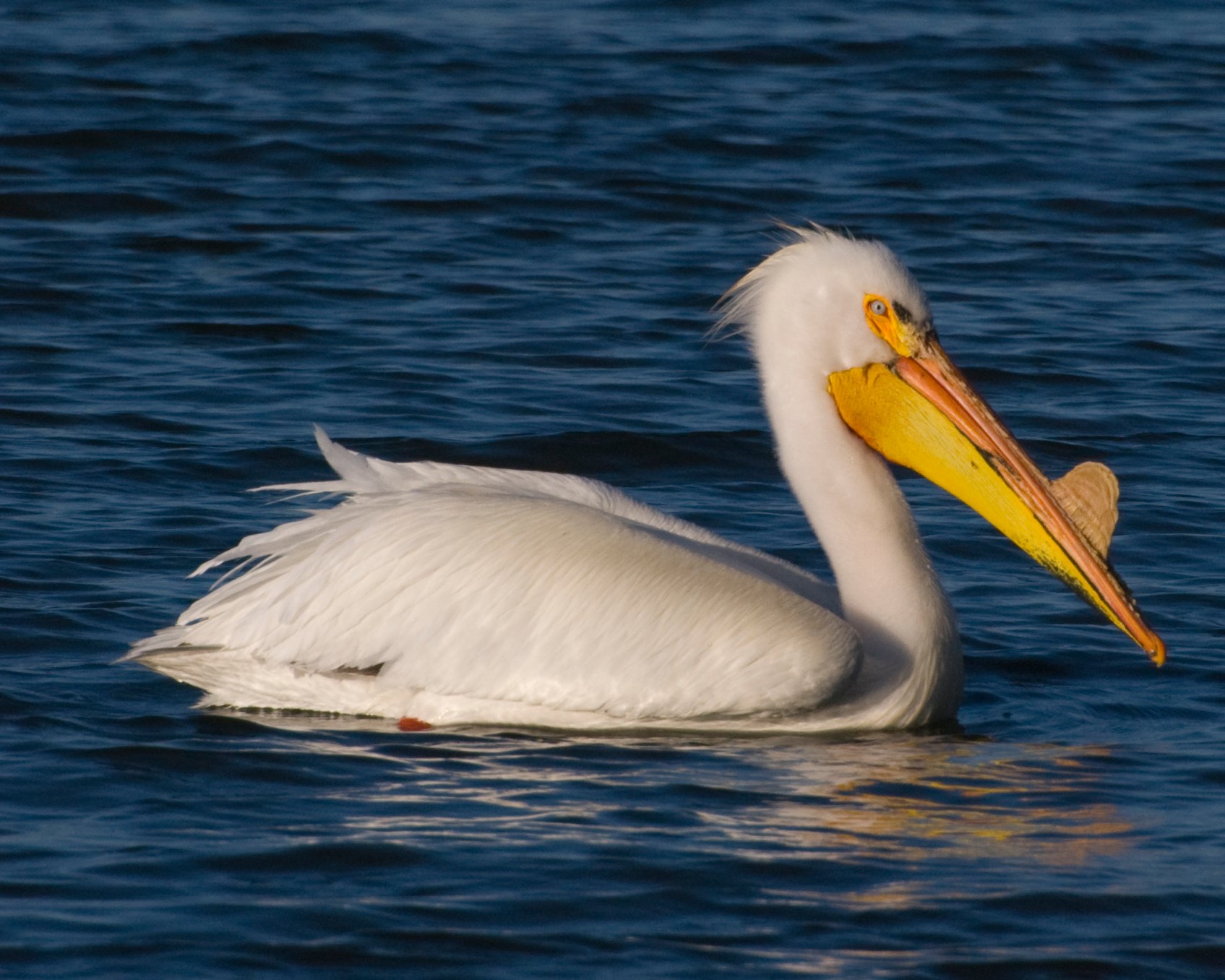 Farm Island Recreation Area