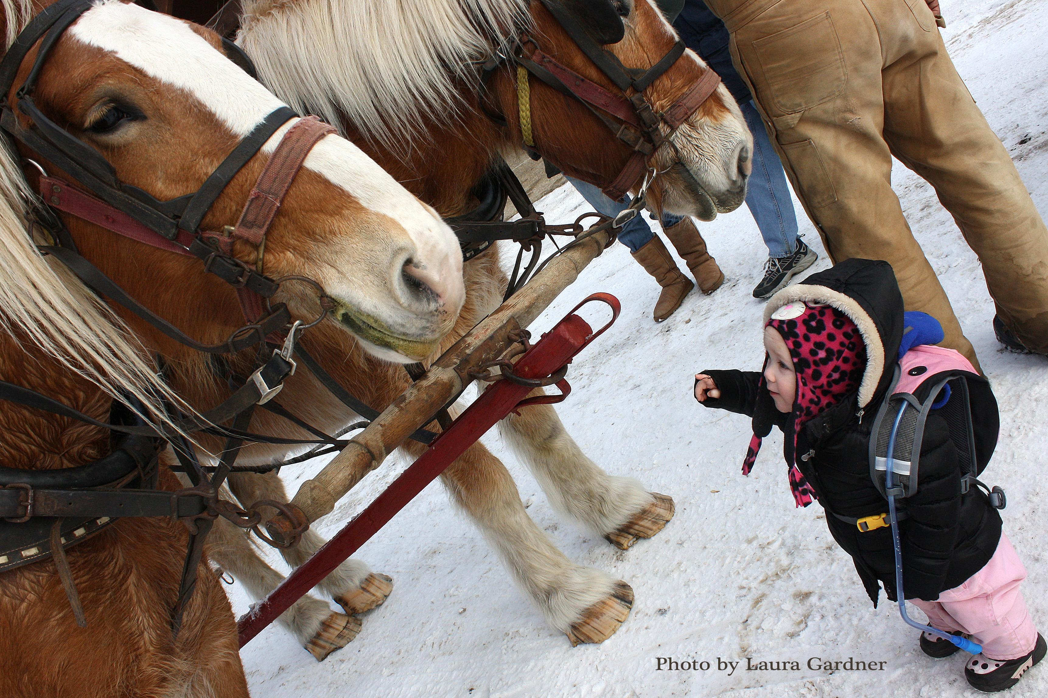Lake Poinsett Recreation Area