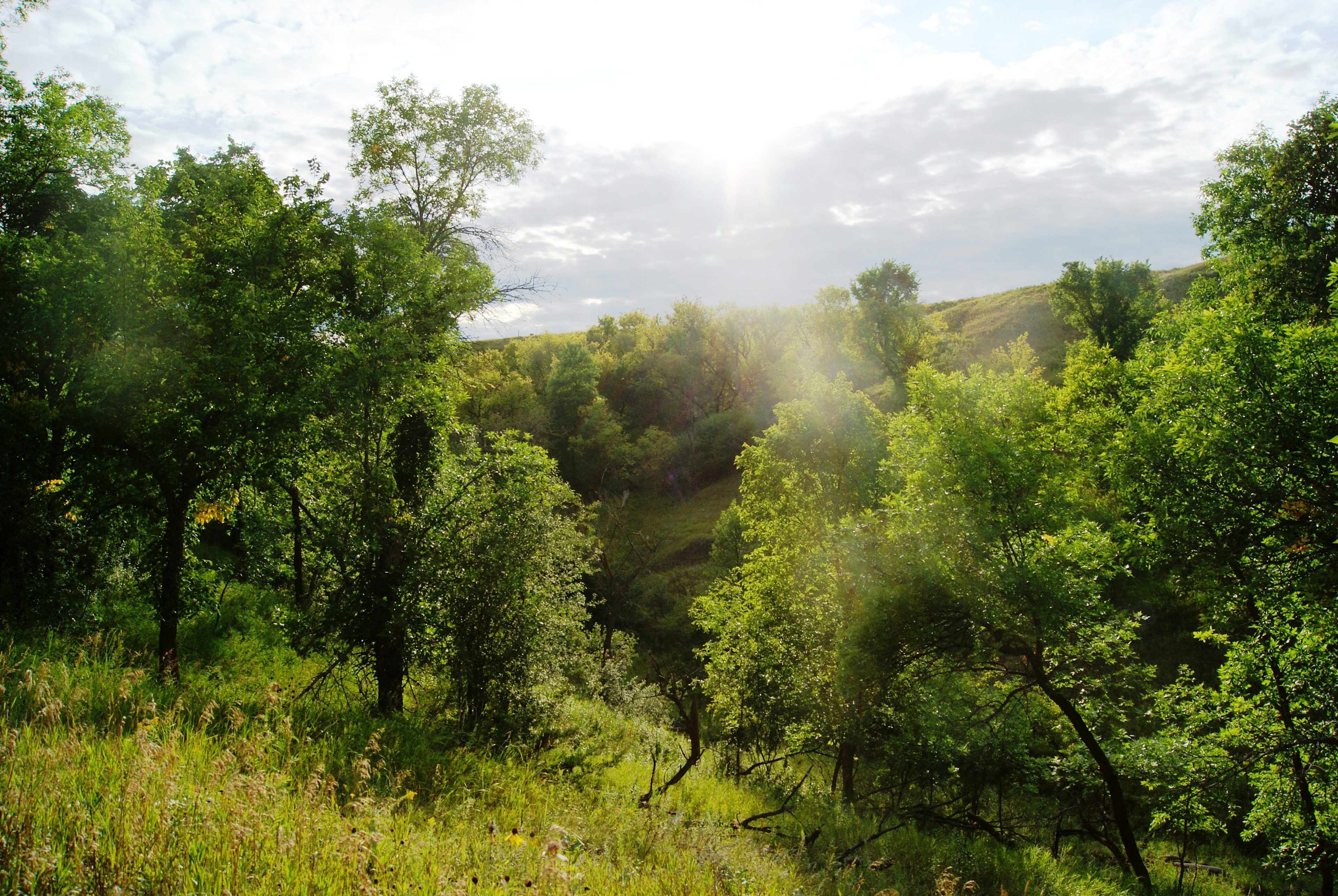 Pierson Ranch Campground