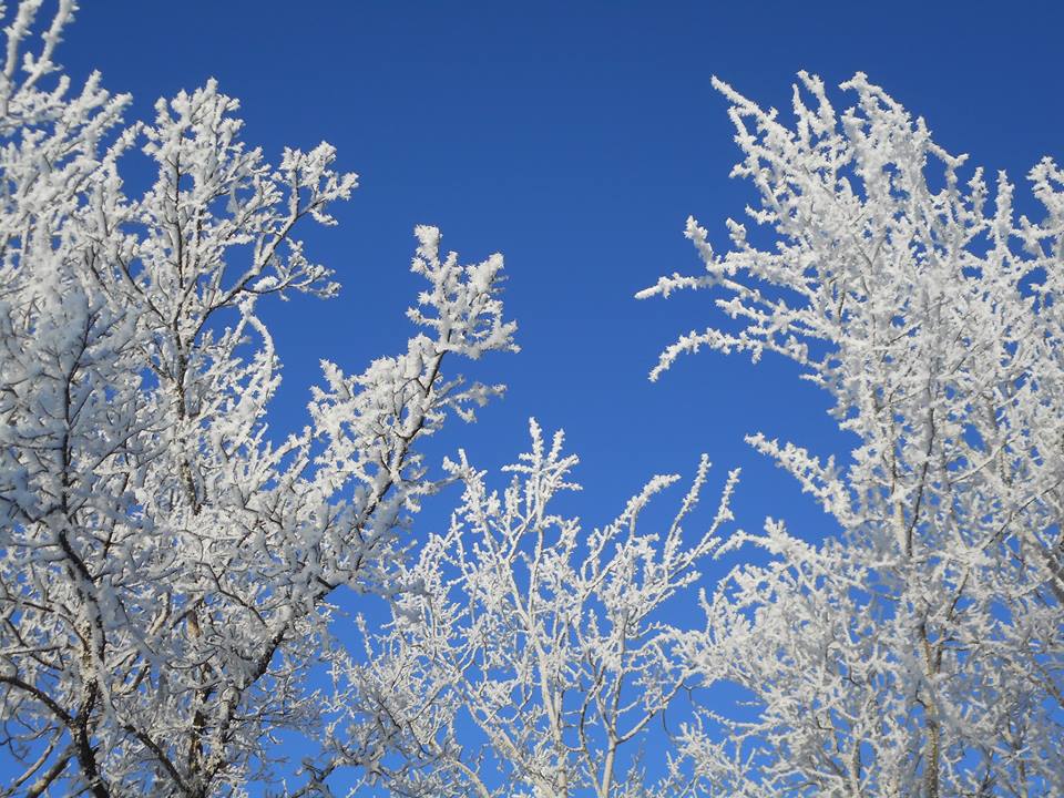 Richmond Lake Recreation Area