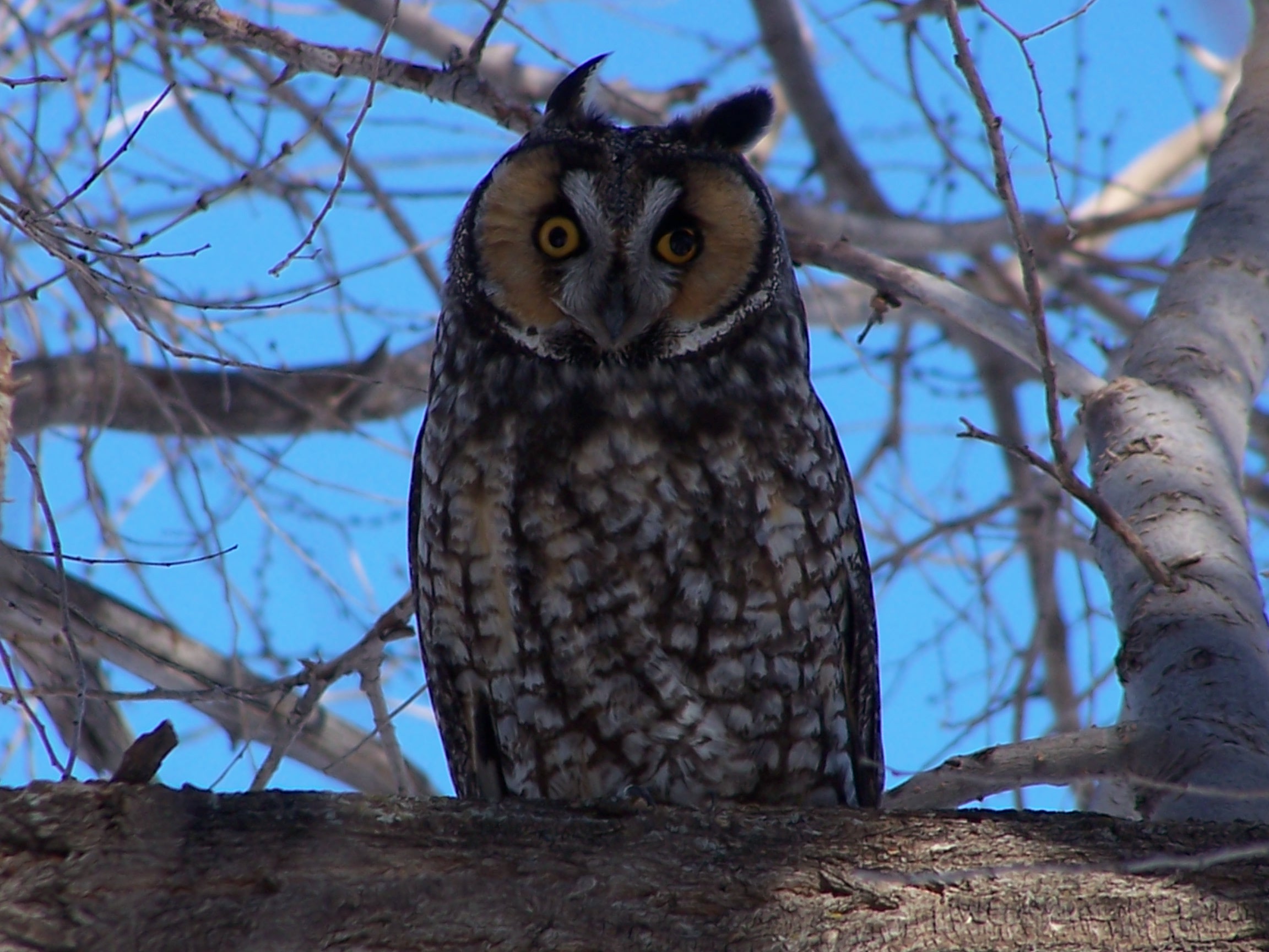 Walker's Point Recreation Area