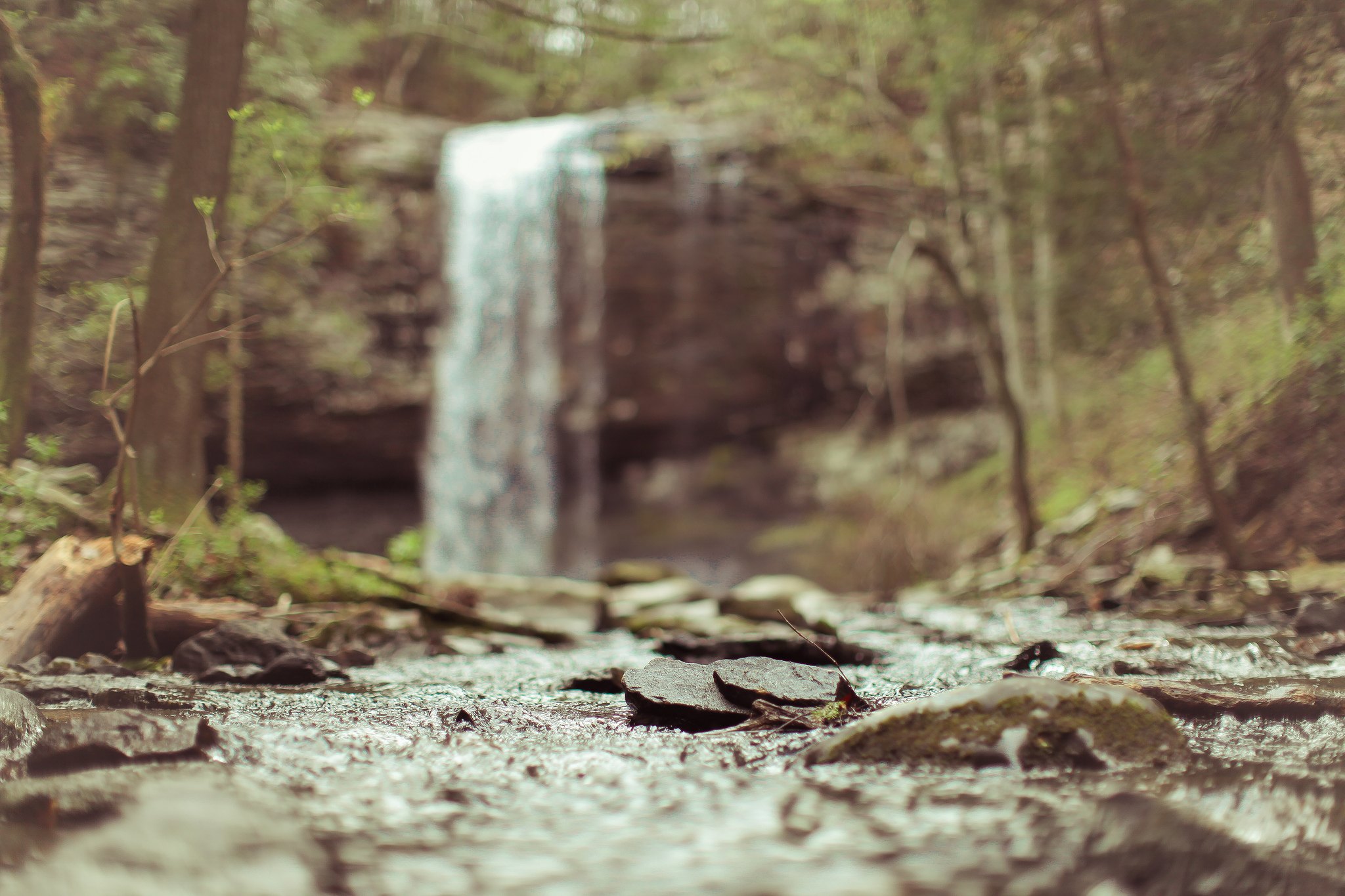 Cloudland Canyon State Park Campground