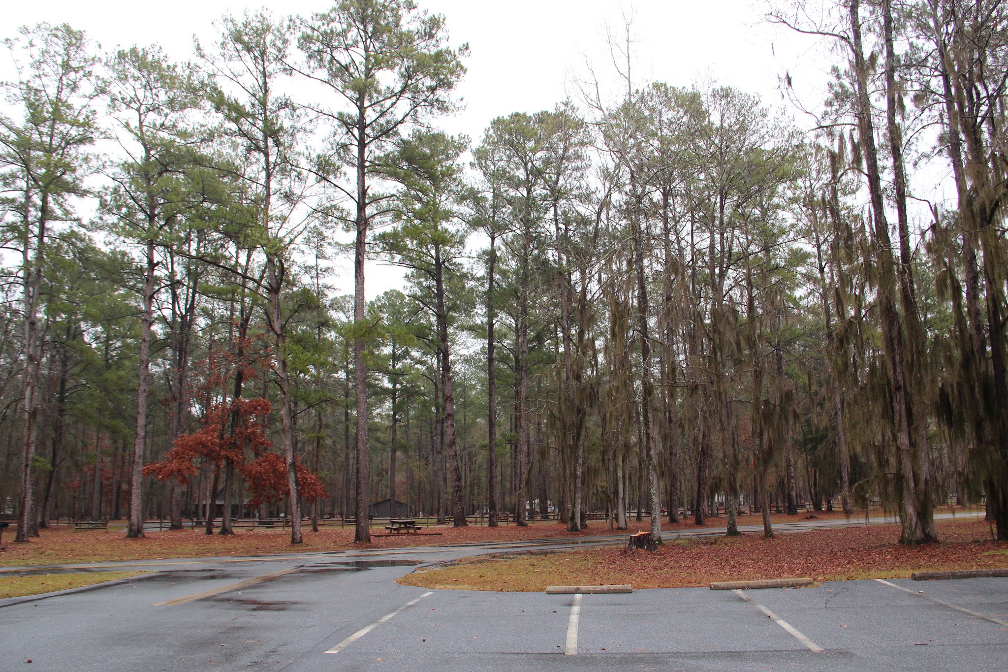 Florence Marina State Park Campground