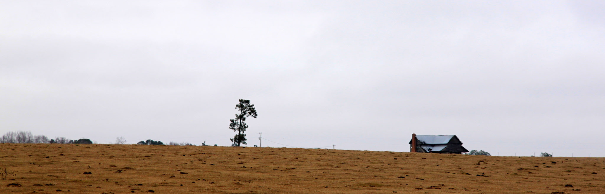 George L. Smith State Park