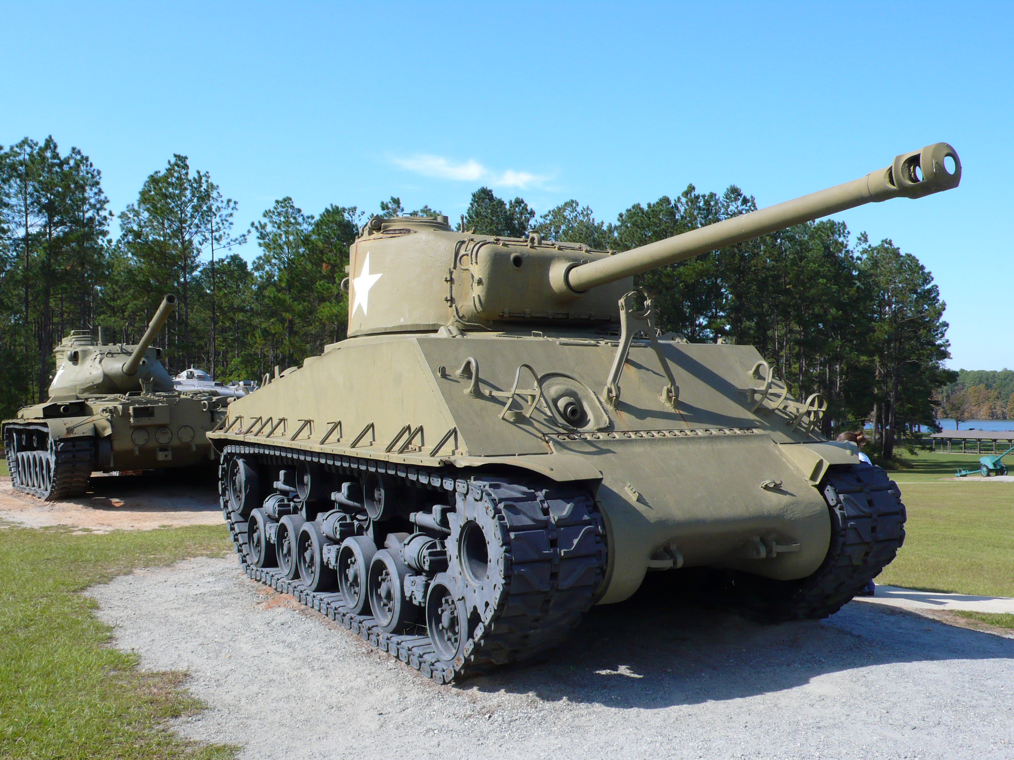 Georgia Veterans State Park