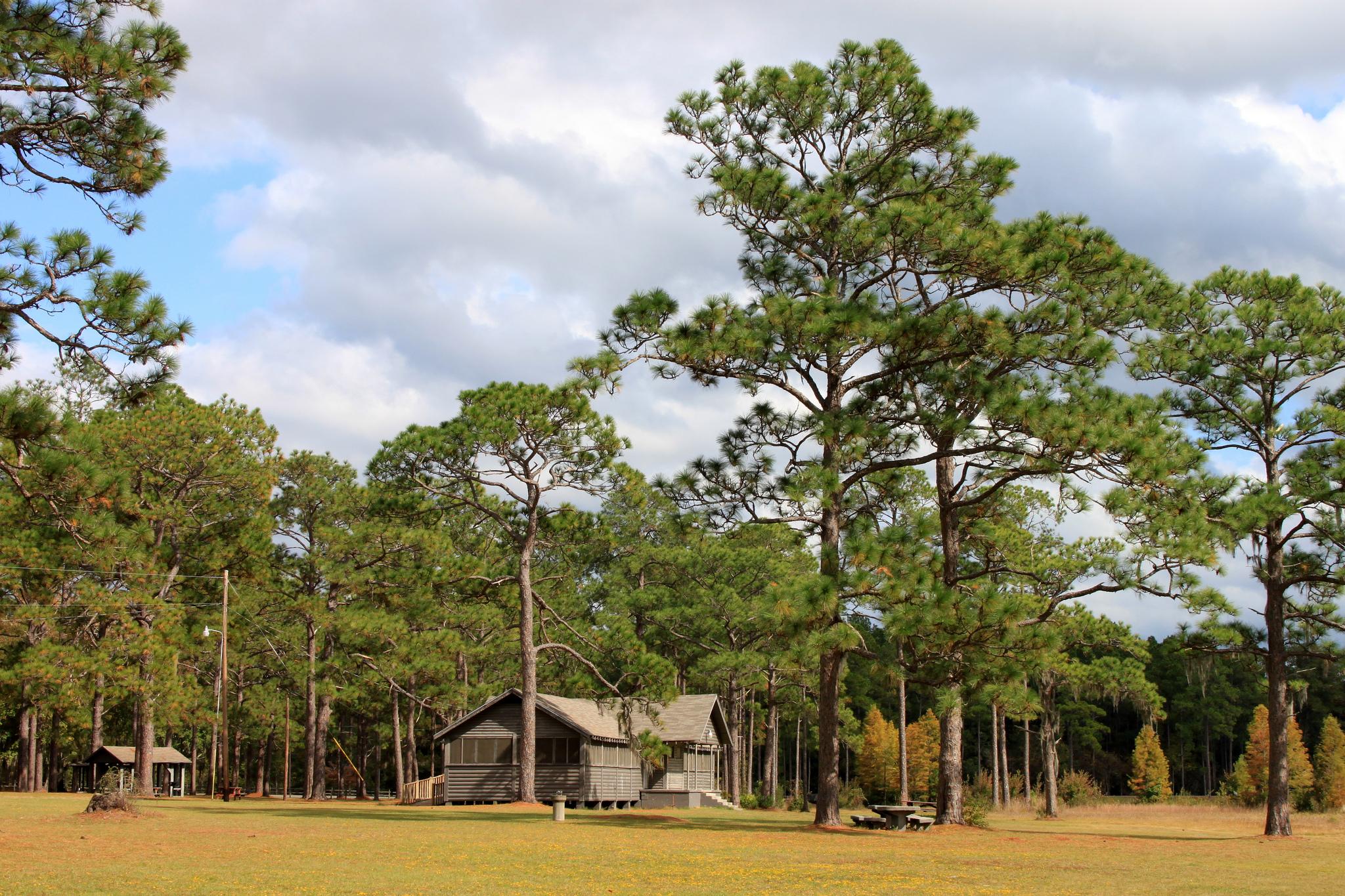 Laura S. Walker State Park