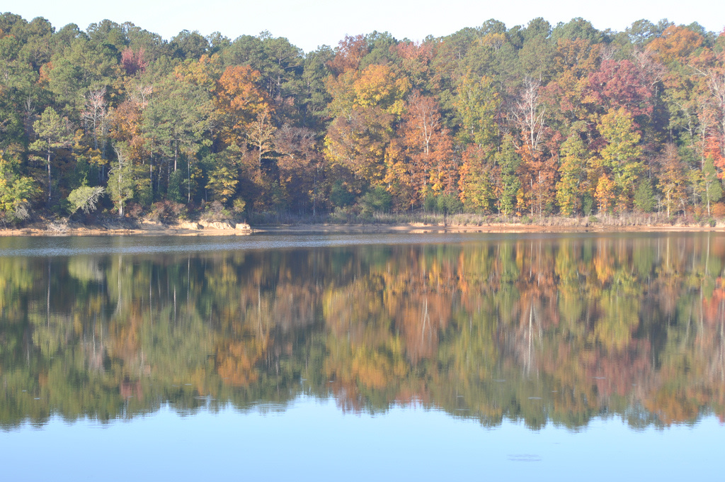 Richard B. Russell State Park