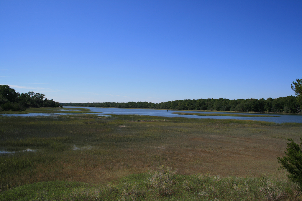 Skidaway Island State Park Campground