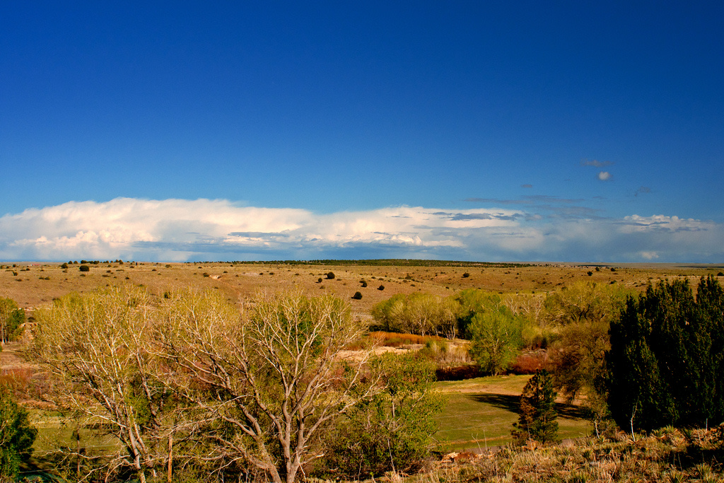 Black Mesa Campground