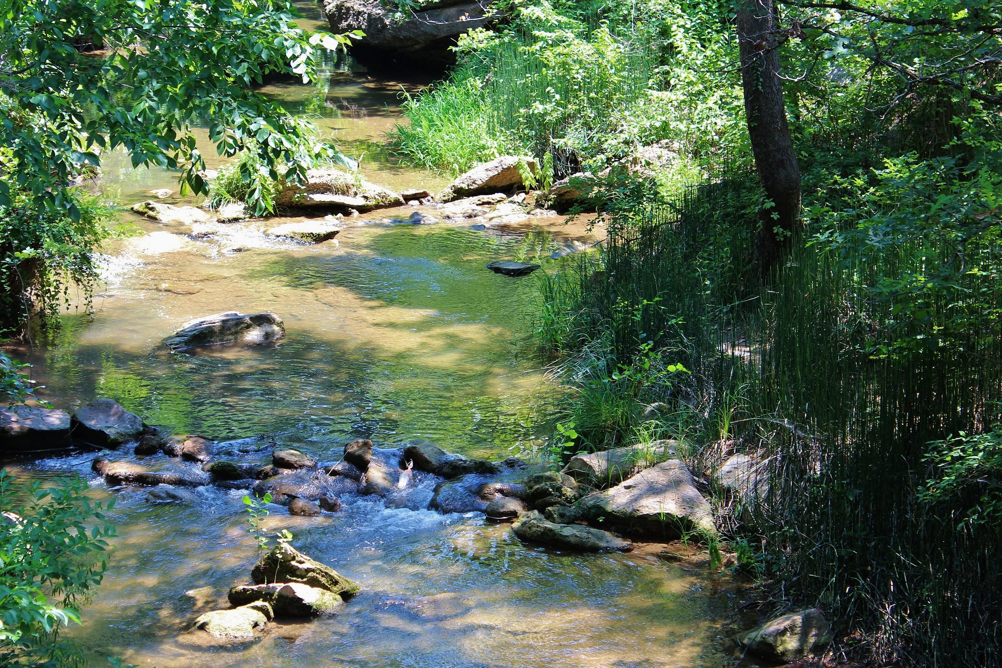 Cold Springs Group Camp
