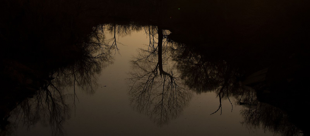 Osage Cove Campground