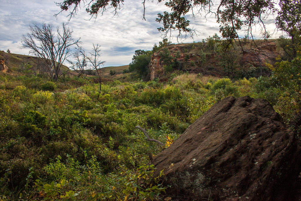 Rockin' K Horse Campground