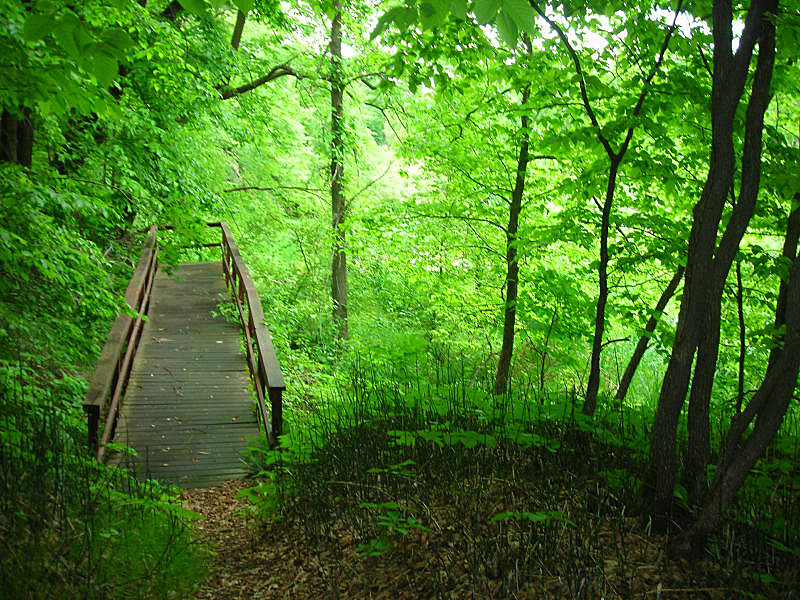 Icelandic State Park