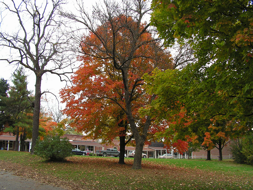 Arrow Rock State Historic Site