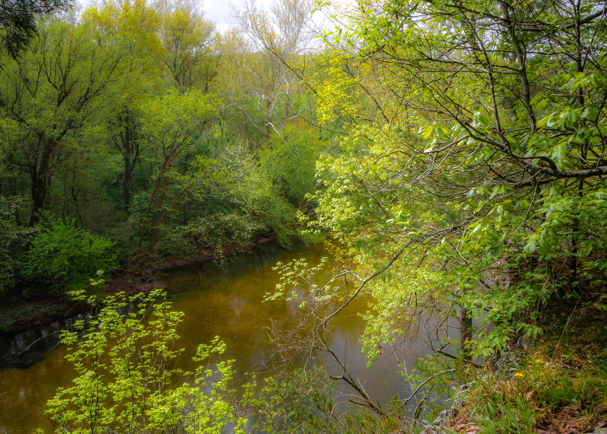Onondaga Cave State Park