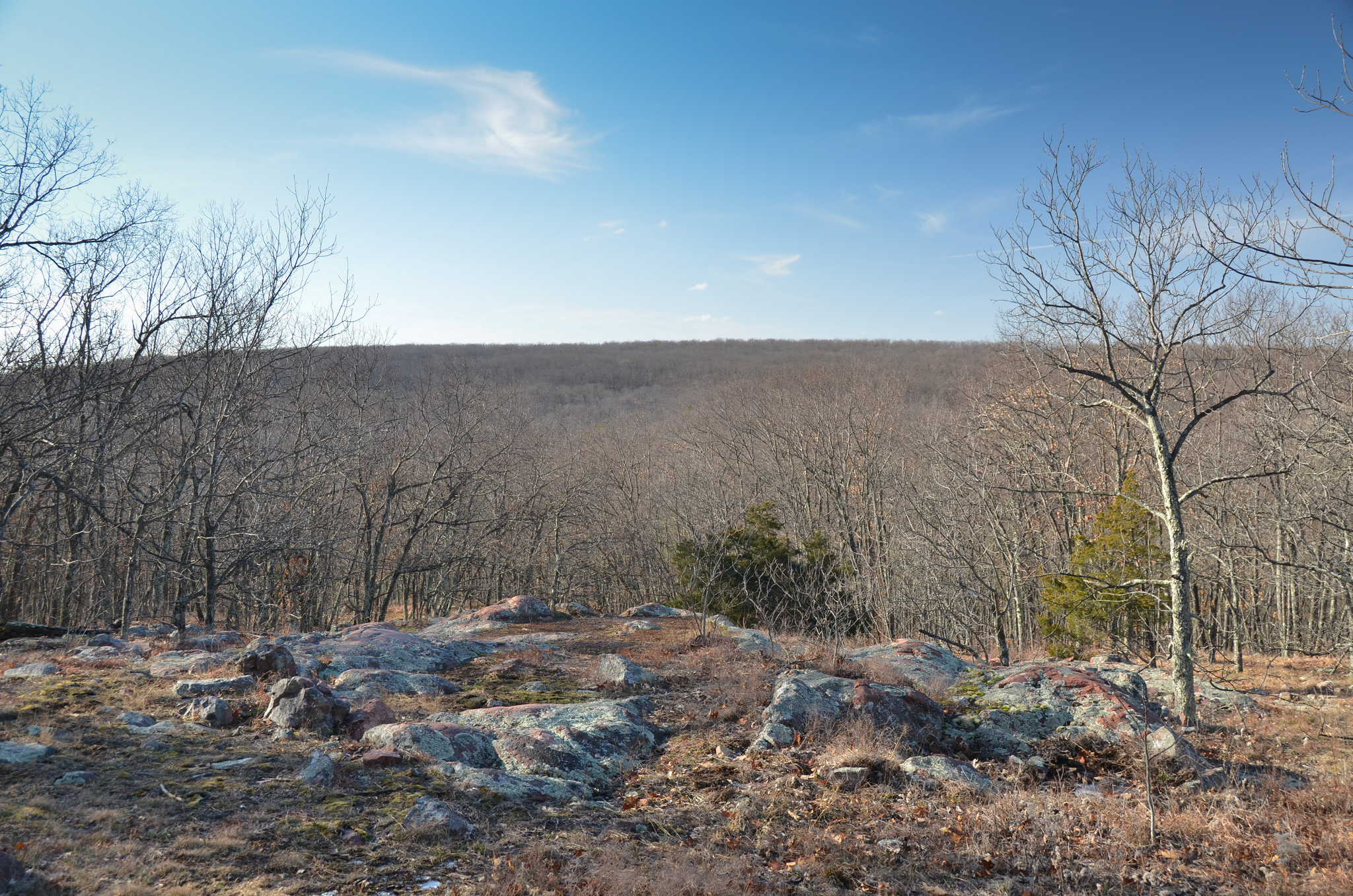 Taum Sauk Mountain Campground